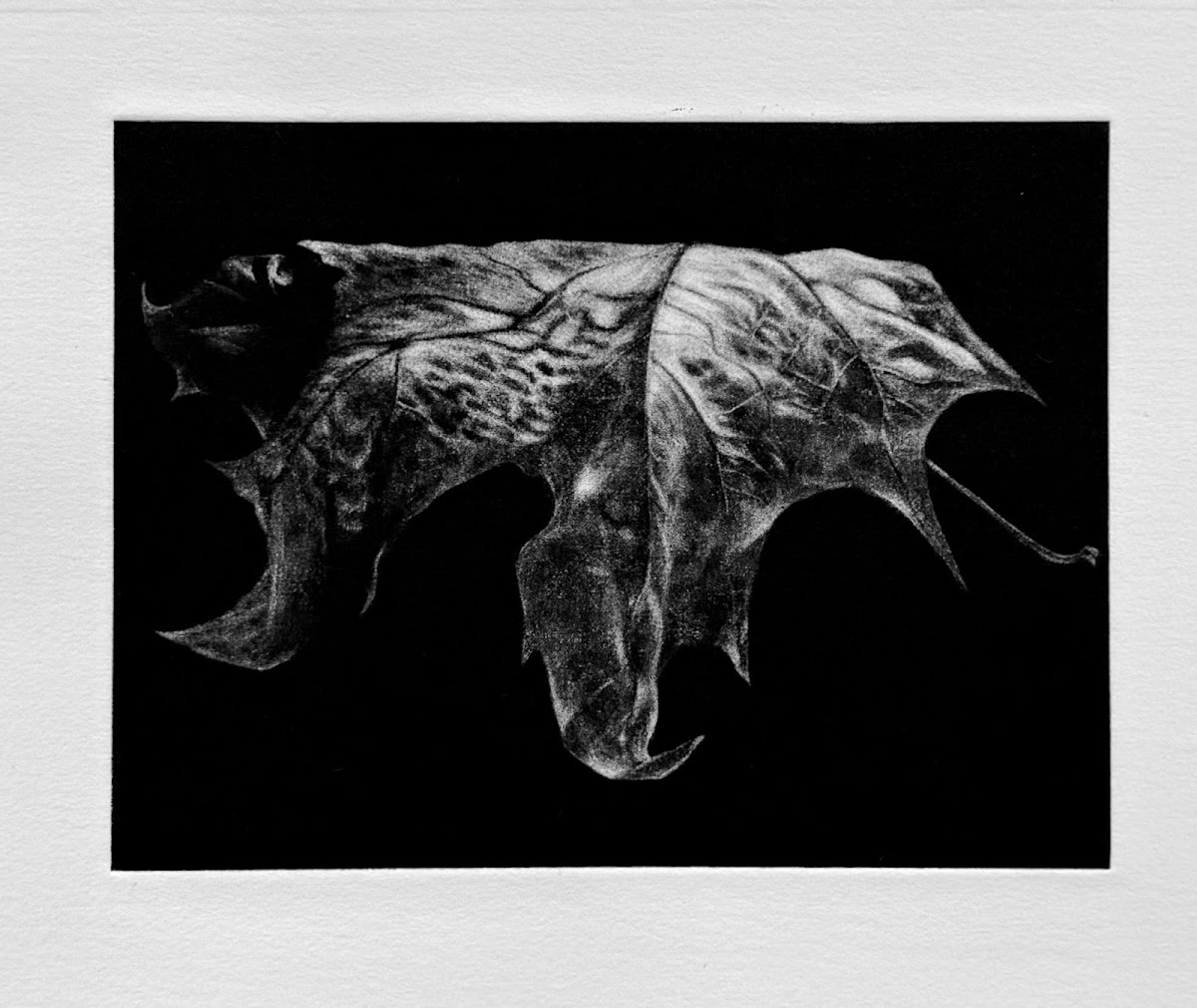 Gry Hege Rinaldo, Uten tittel (2025). Mezzotint på Hahnemühle-papir, 20 × 15 cm