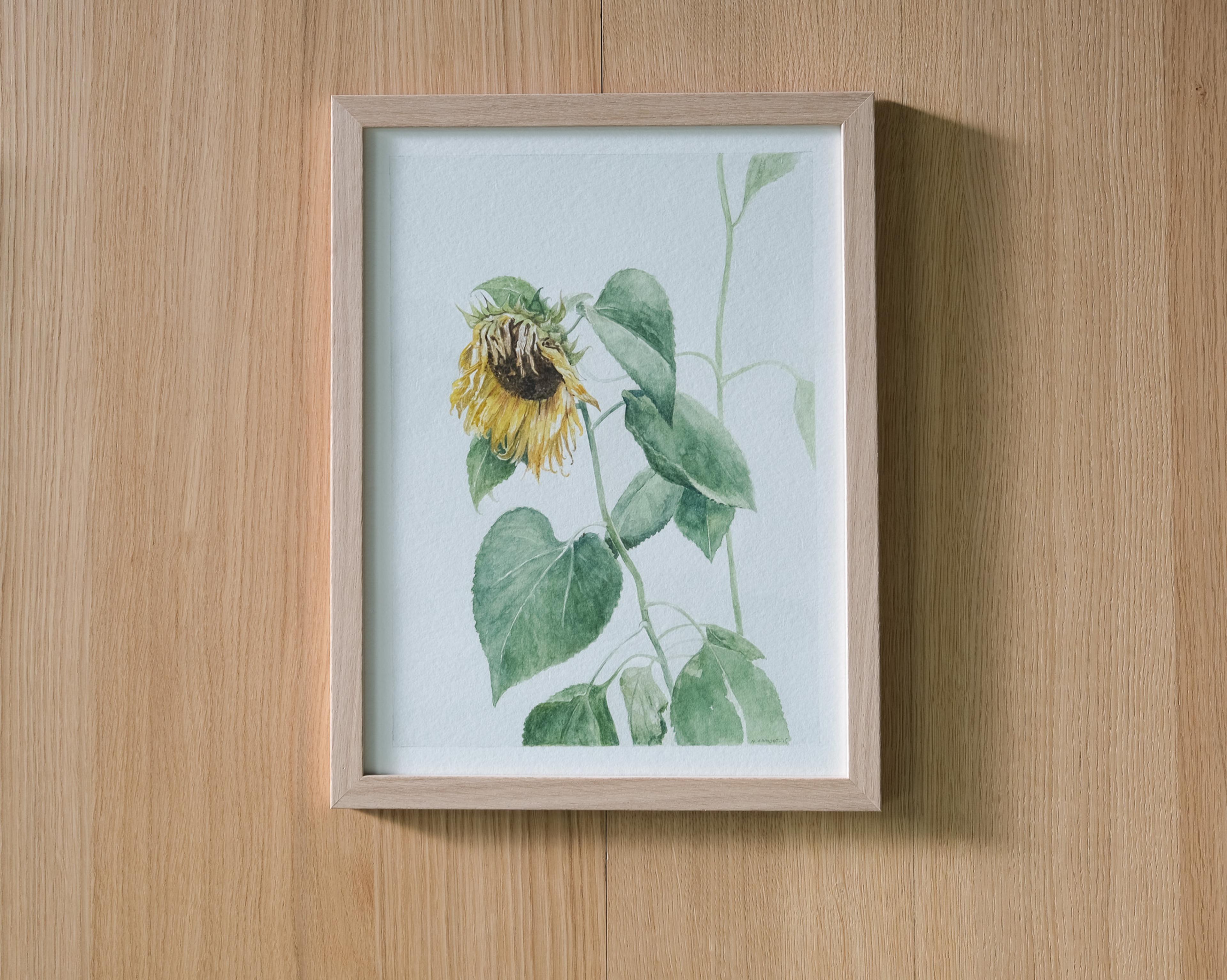 Solsikke i bakgård 2025, watercolor on 360g paper, 30 x 40 cm, w/frame. NOK 13 650,-