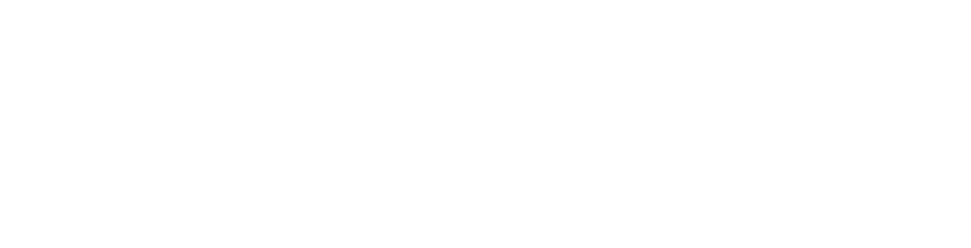 ShoreConnection