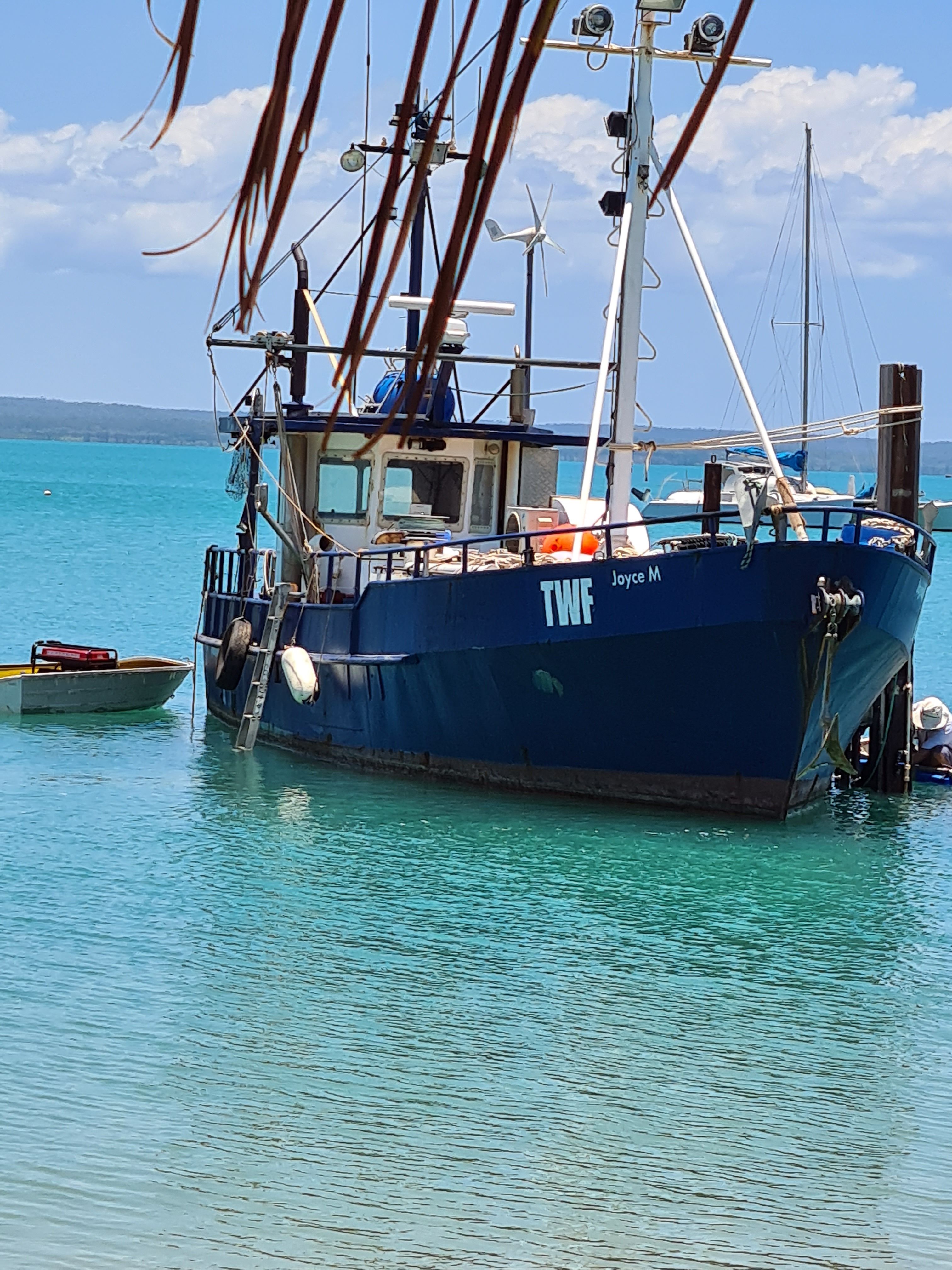 Joyce M just purchased