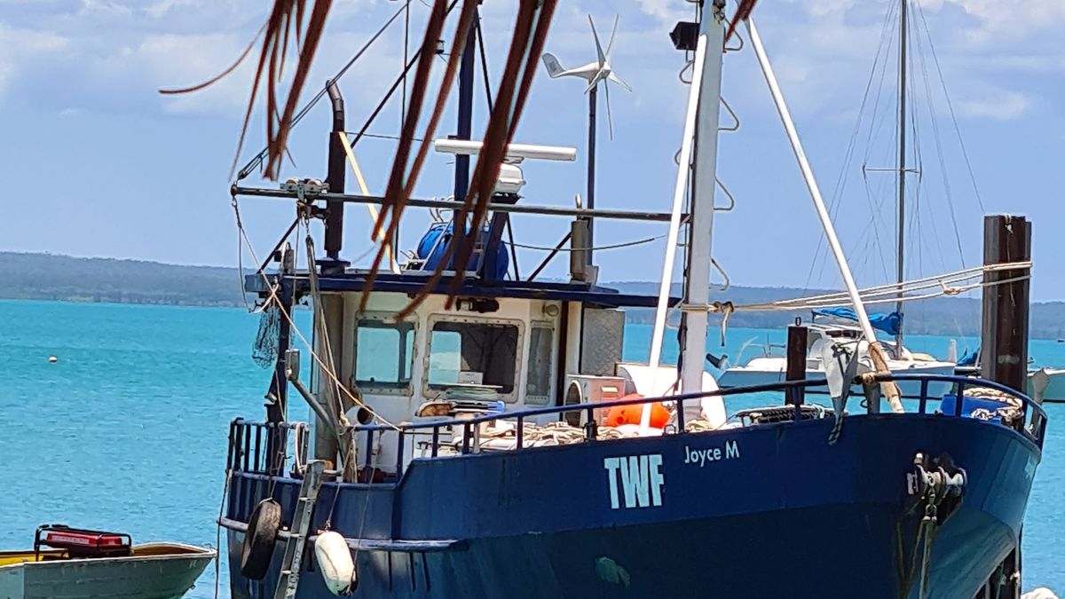 Joyce M just purchased