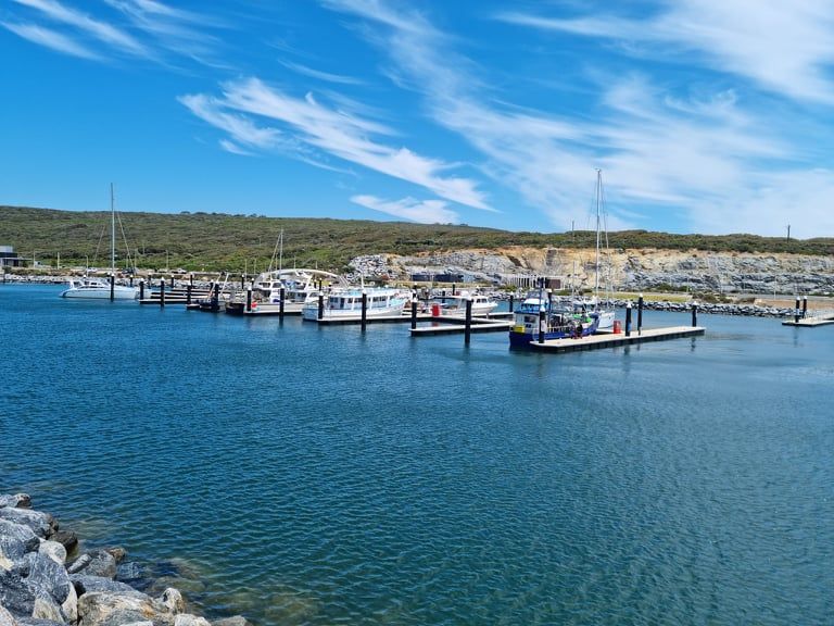 parked up in Augusta