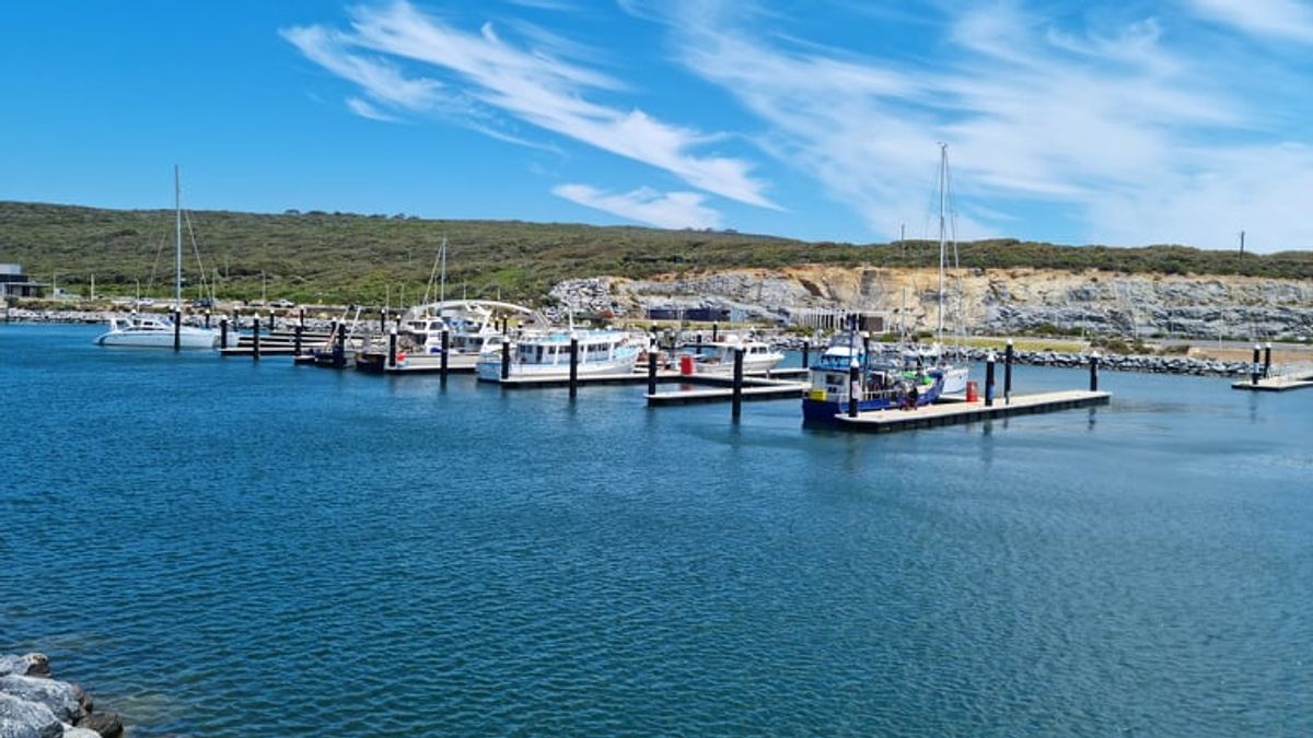 parked up in Augusta