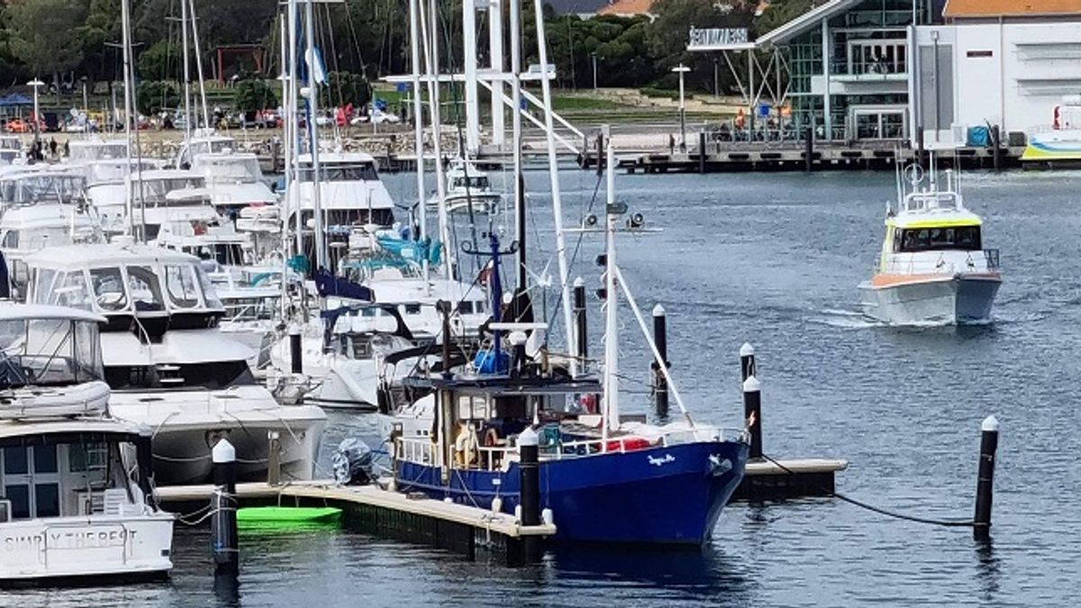 blue against all whites