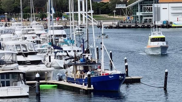 blue against all whites