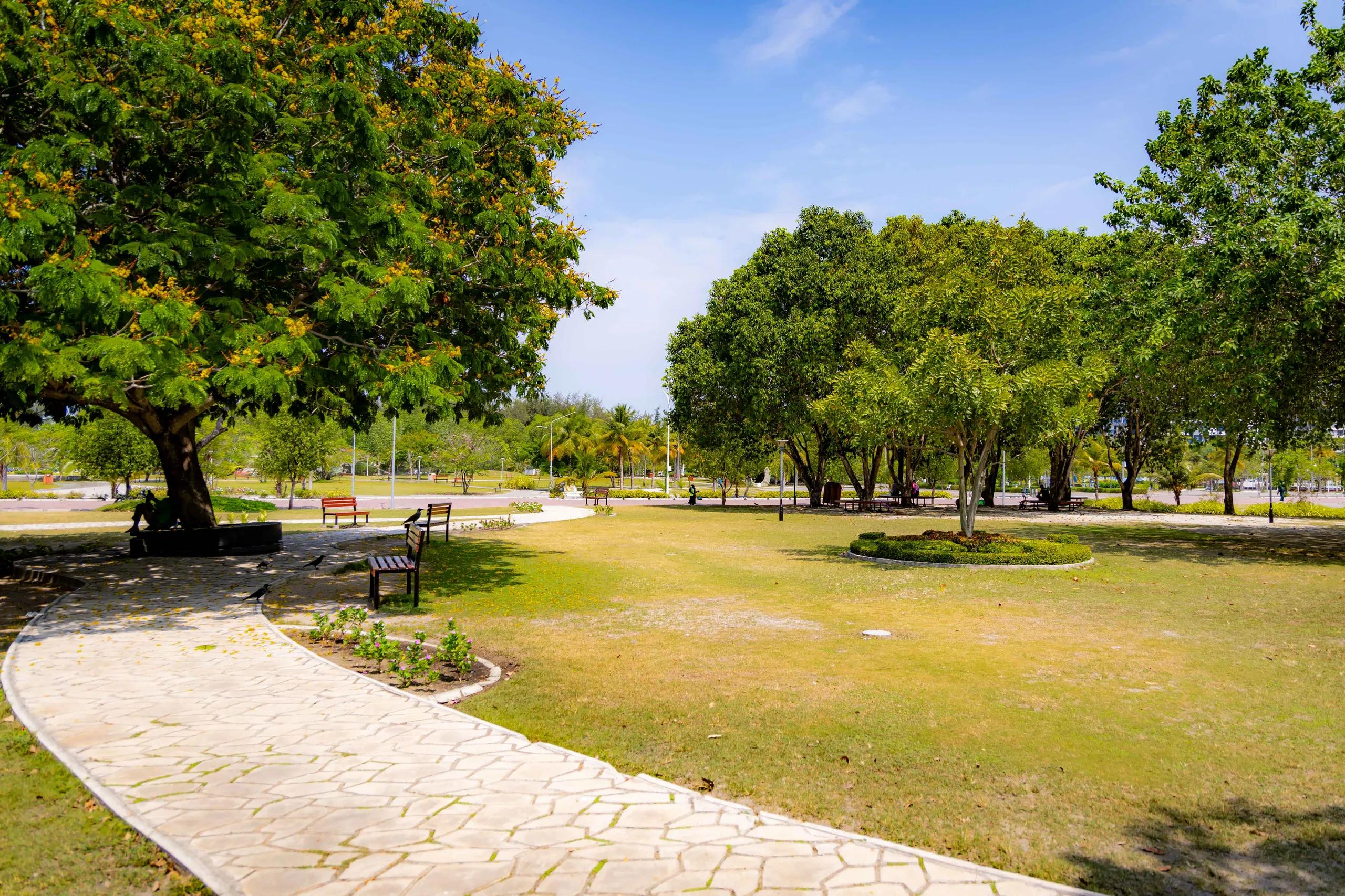 Central Park