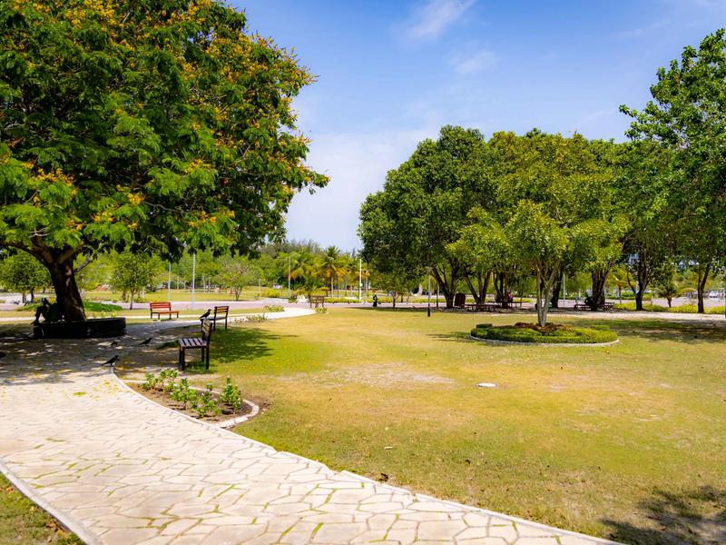 Paved path winding through a green lawn with shade trees and benches at Central Park, Hulhumalé