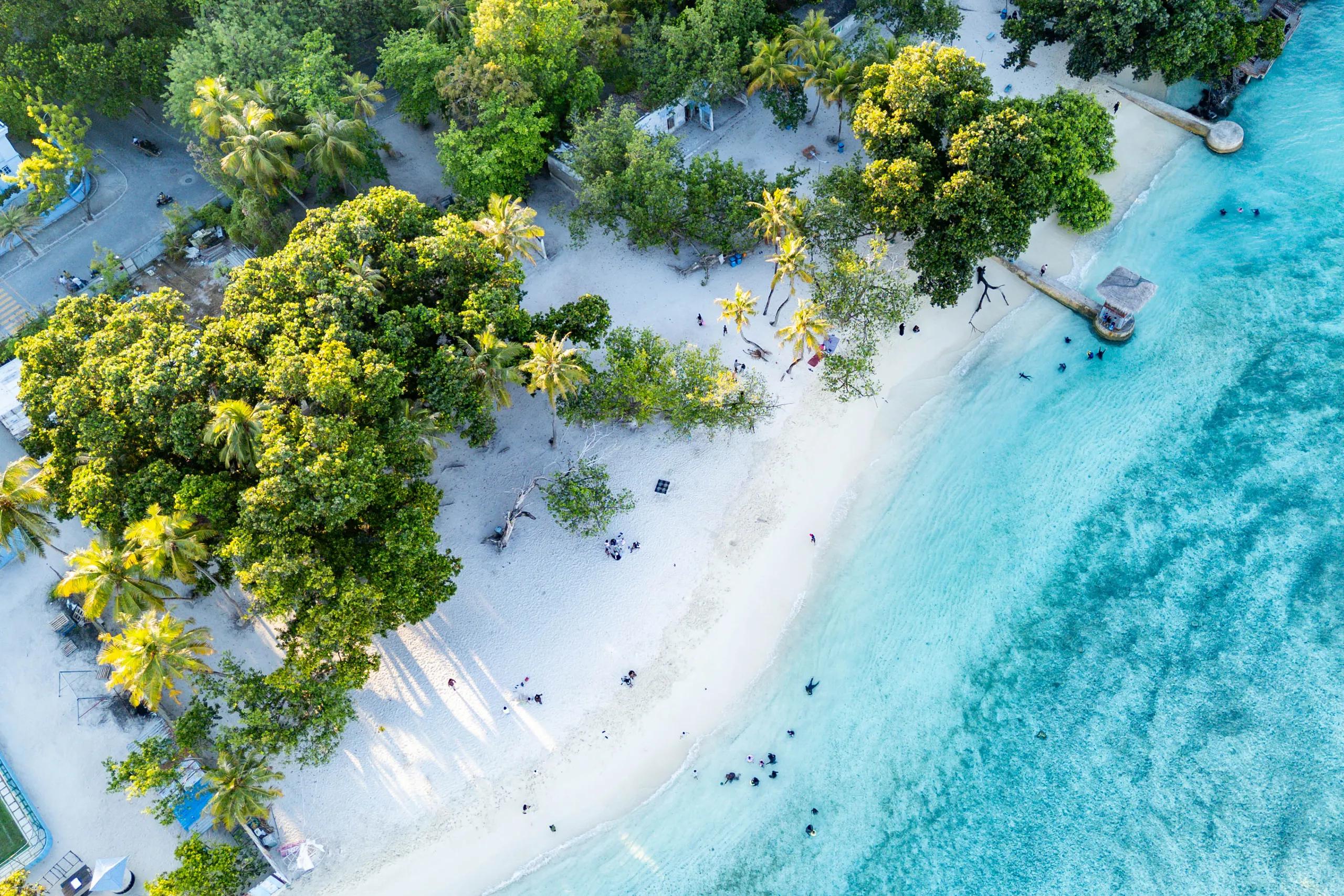 Aerial view of a tree-lined white sand beach meeting turquoise shallows at Vilimalé Public Beach