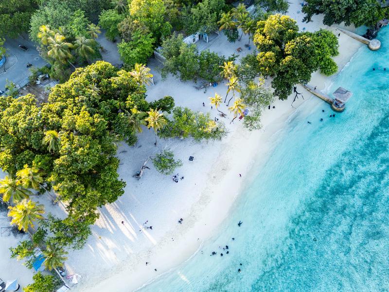 Aerial view of a tree-lined white sand beach meeting turquoise shallows at Vilimalé Public Beach