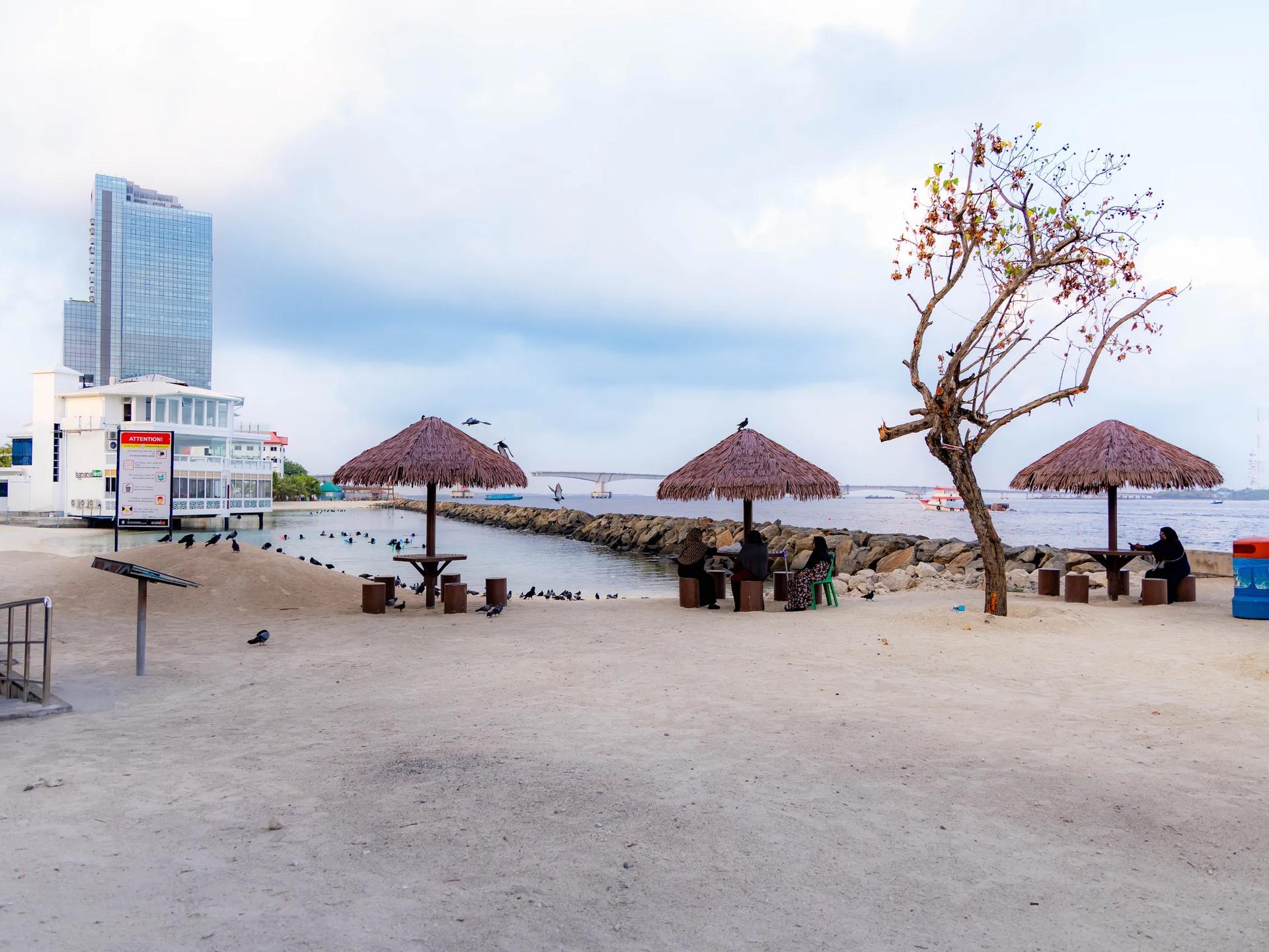 Sandy beach with thatched umbrellas, pigeons and a city tower across the water at Rasfannu Beach