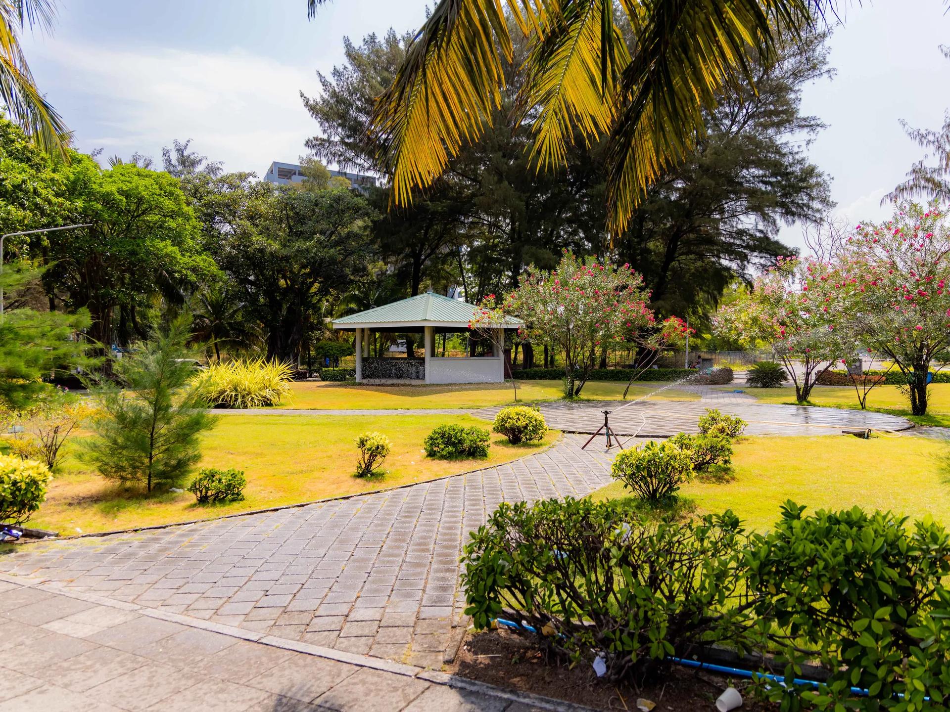 Green pavilion and paved paths through landscaped lawn with flowering shrubs at Hulhumalé Ferry Terminal Park