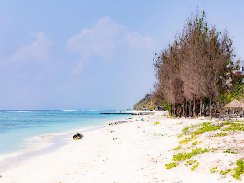 White sand shoreline with scattered trees and turquoise water at Hulhumalé Phase 2 Beach