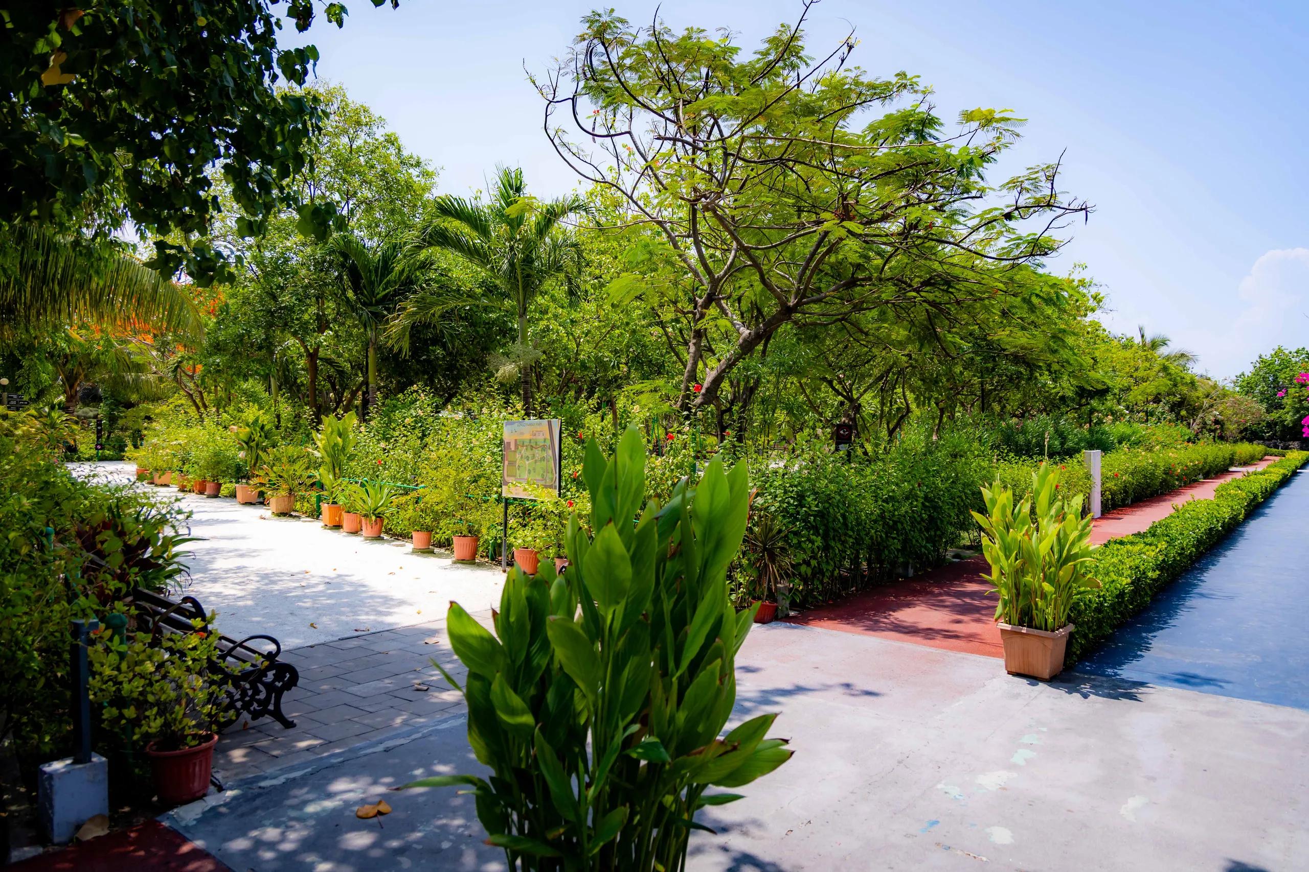 Landscaped garden path lined with potted plants and trees beside a long water channel at Lonuziyaaraiy Park