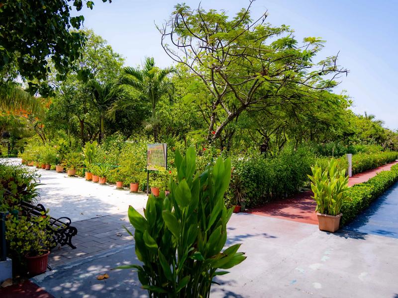 Landscaped garden path lined with potted plants and trees beside a long water channel at Lonuziyaaraiy Park