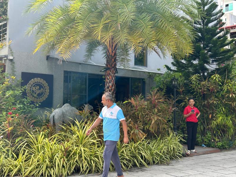 Rio Grande building with a gold circular logo sign behind dense tropical planting and a tall palm tree