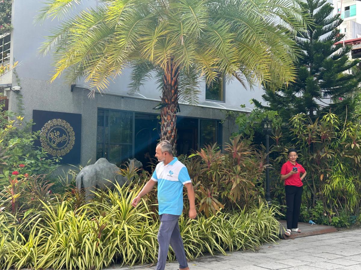Rio Grande building with a gold circular logo sign behind dense tropical planting and a tall palm tree