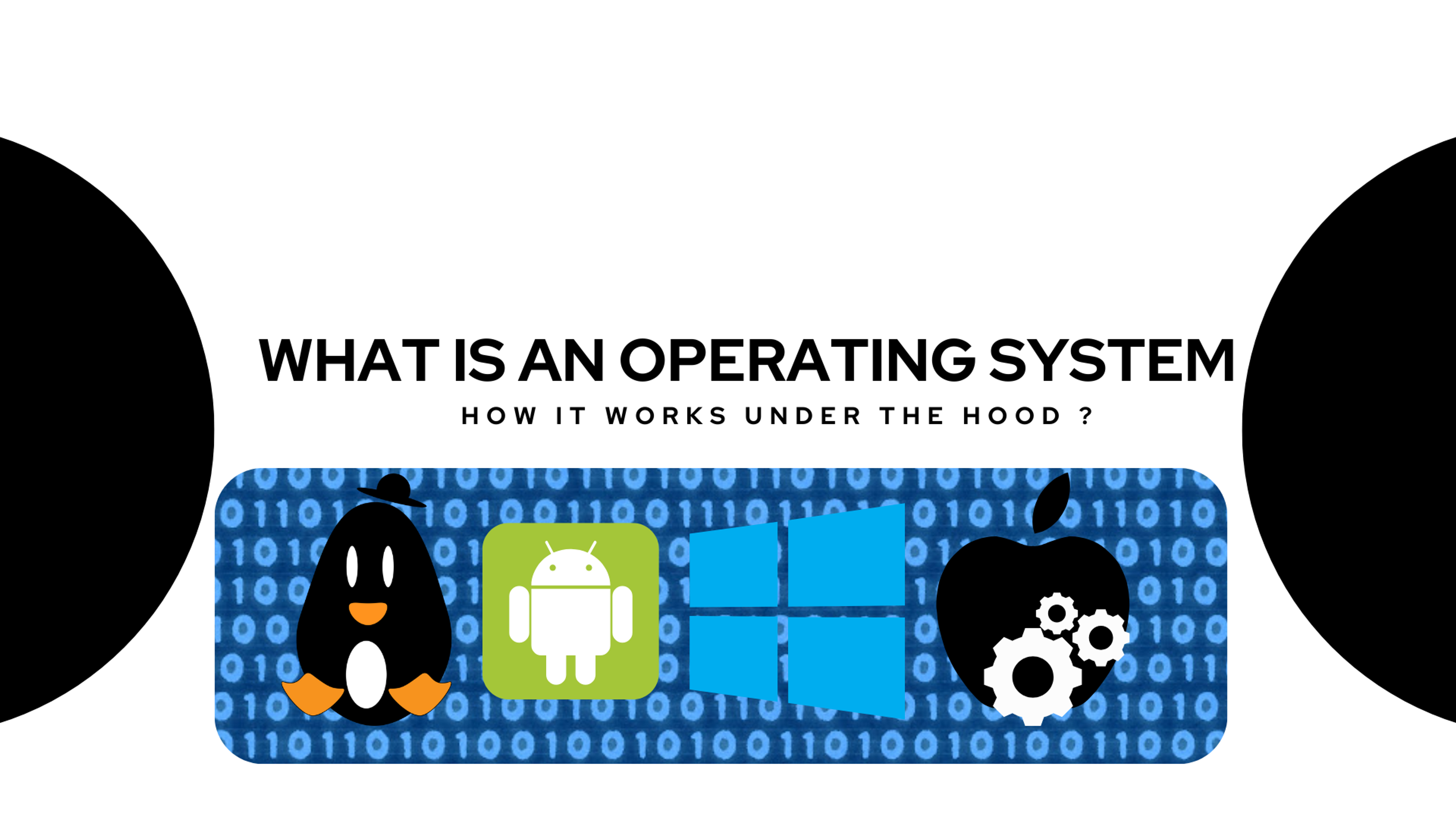 Cover Image for the article 