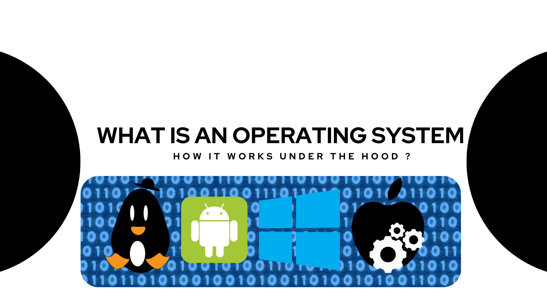 Cover Image for the article