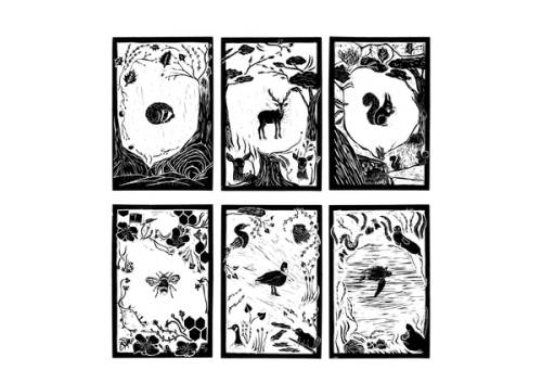 Commercial Wildlife Printmaking  | David Alexander Thomas 