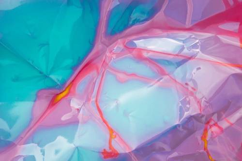 Germination | Georgie Ringrose 