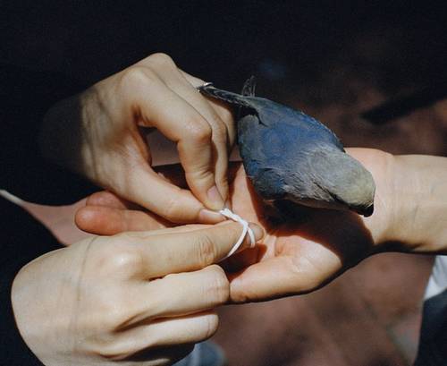 So Close When You Look Away | Ruize Hong 