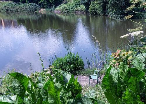 South Norwood London’s Lake District | Jacqueline Mulvaney | London's Lake District