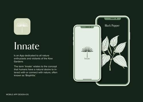 Innate | Thalia Sanchez 