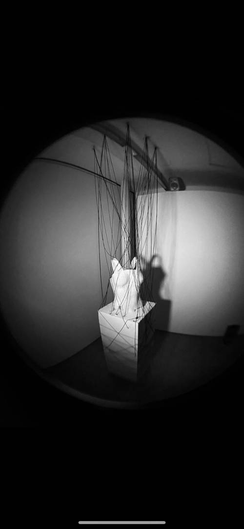 Freedom Body | - | Freedom Body