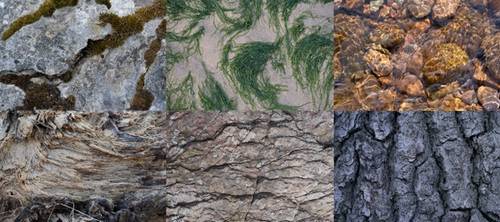 Sacred Geometry  | Kyra Sullivan 