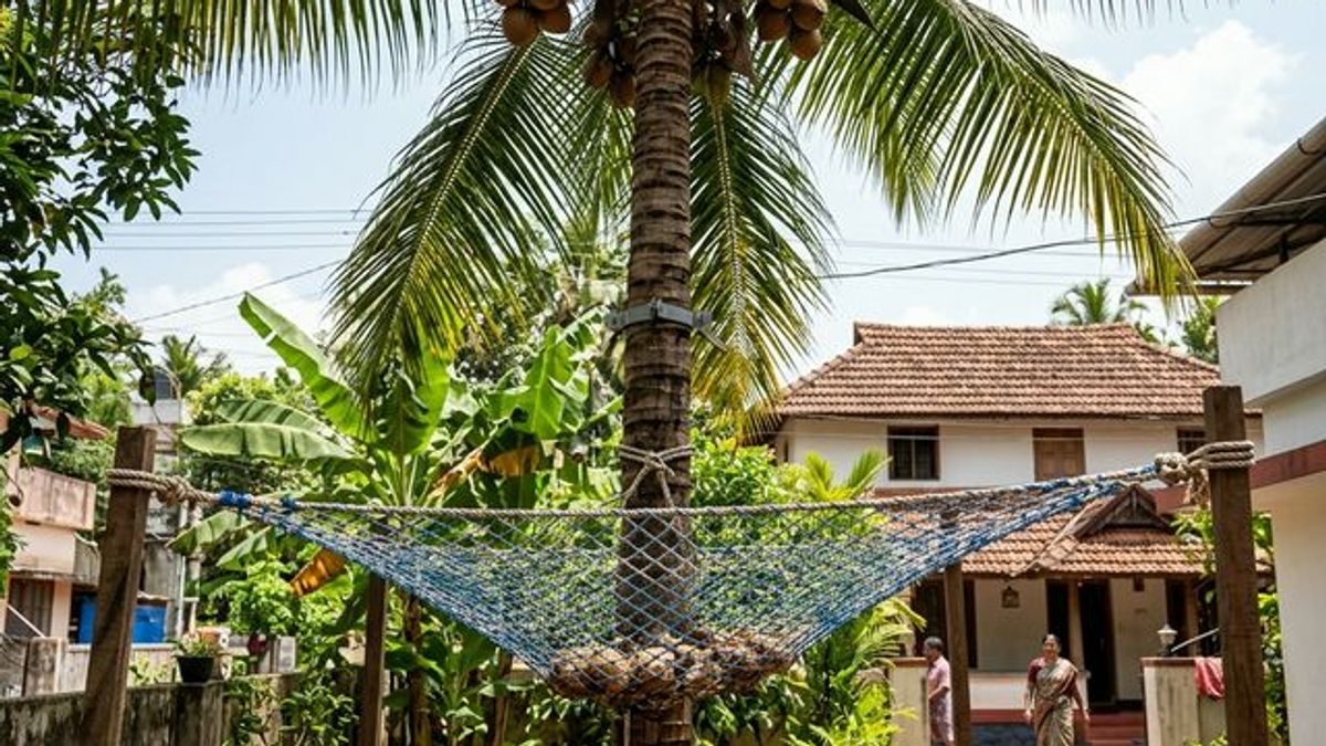 Coconut Tree Safety Nets in Secunderabad: Protecting Vehicles and Pedestrians