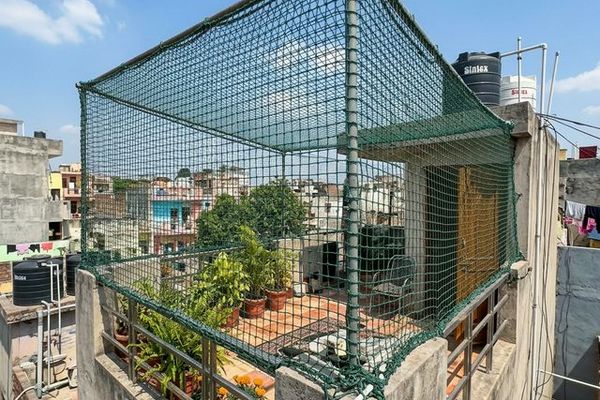 Cat Proofing Your High-Rise Balcony: Why Wire Mesh Matters