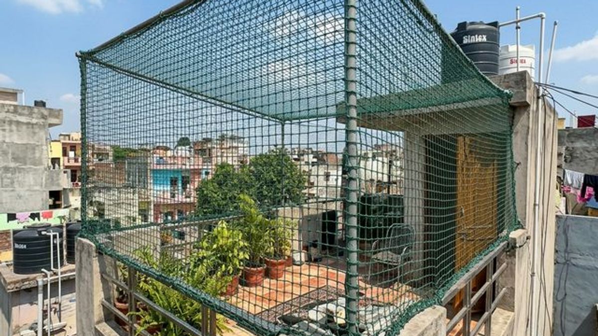 Cat Proofing Your High-Rise Balcony: Why Wire Mesh Matters