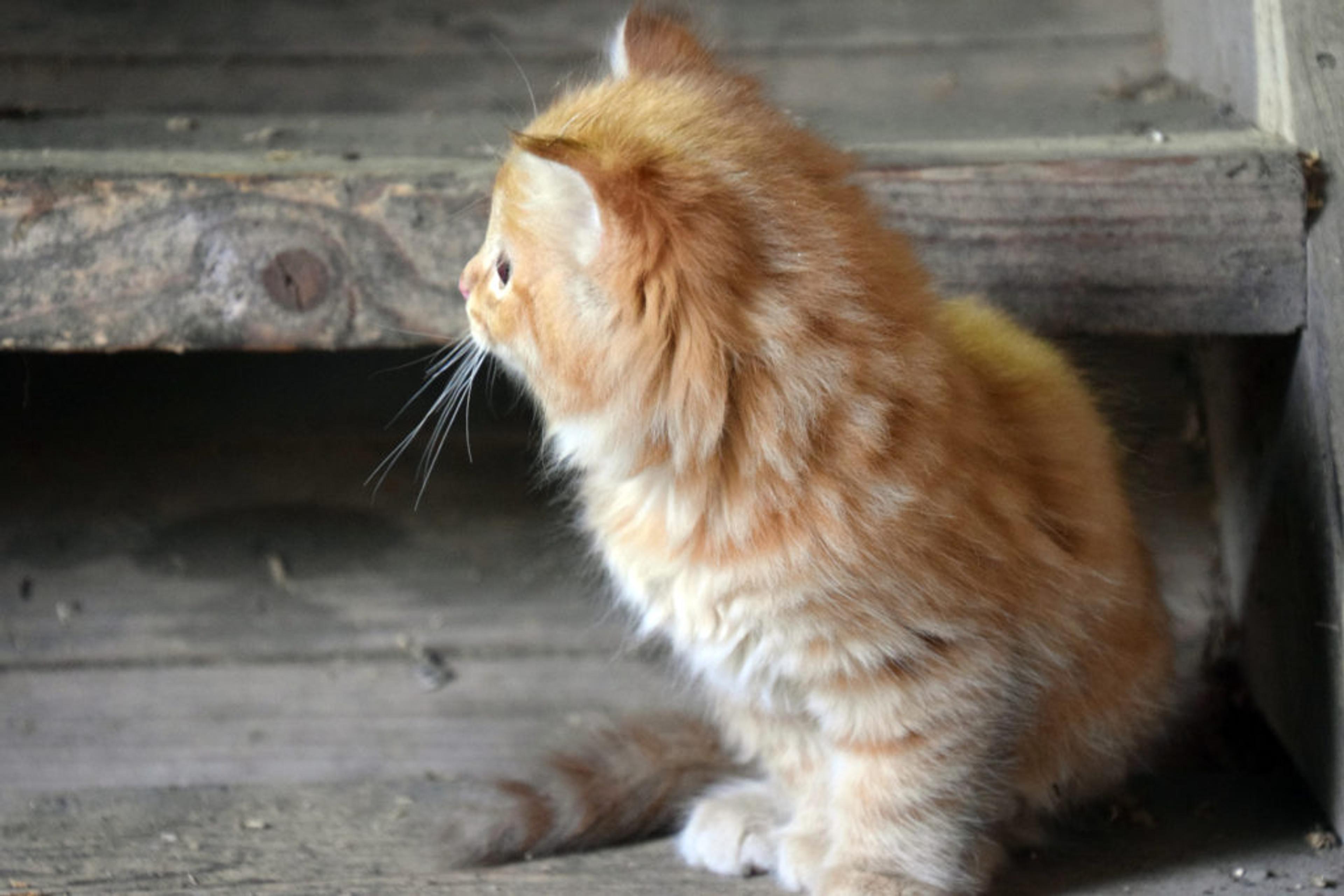 121016_tufte_gard_harald_lie_2