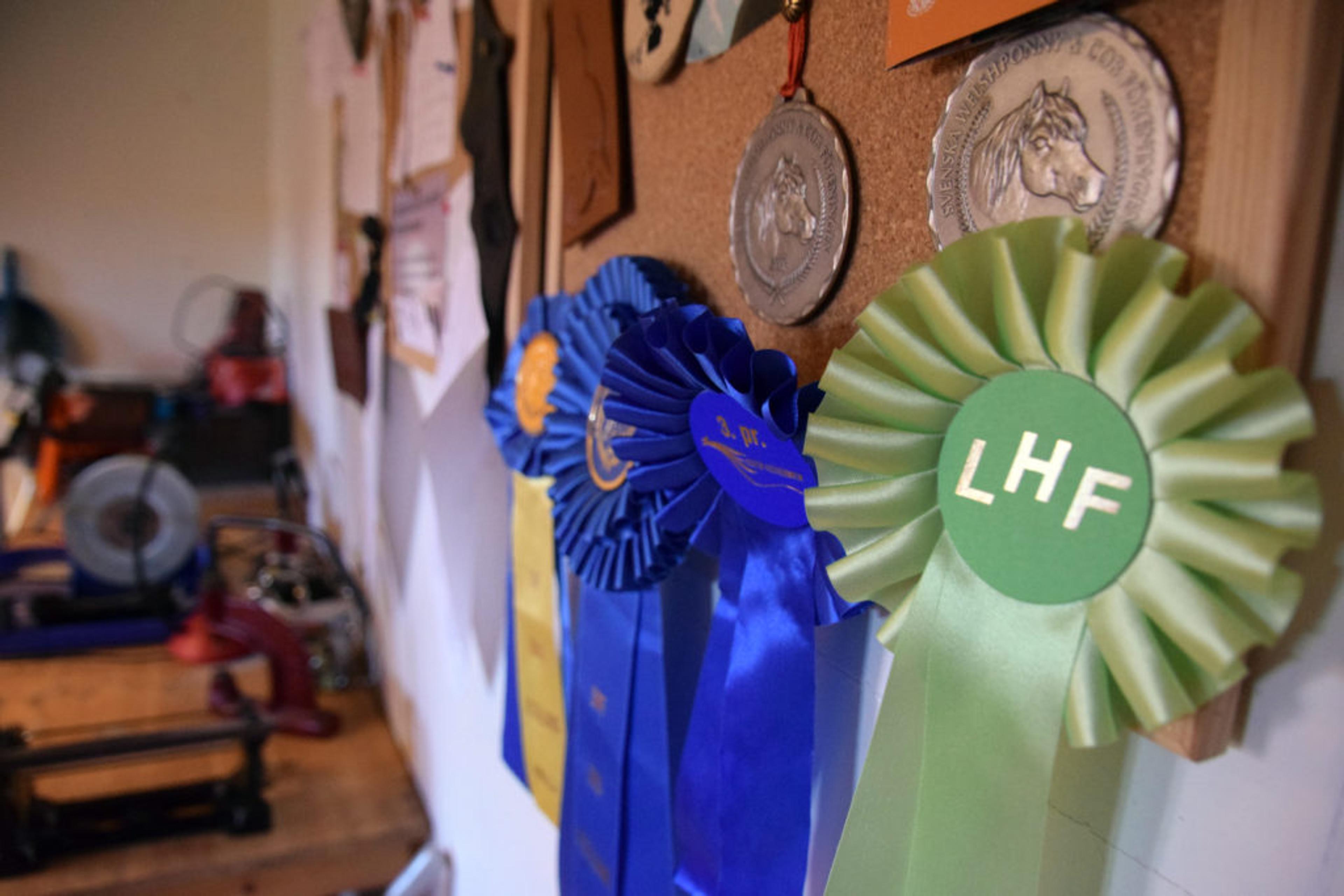 281016_silje_sverkholt_salmaker_015