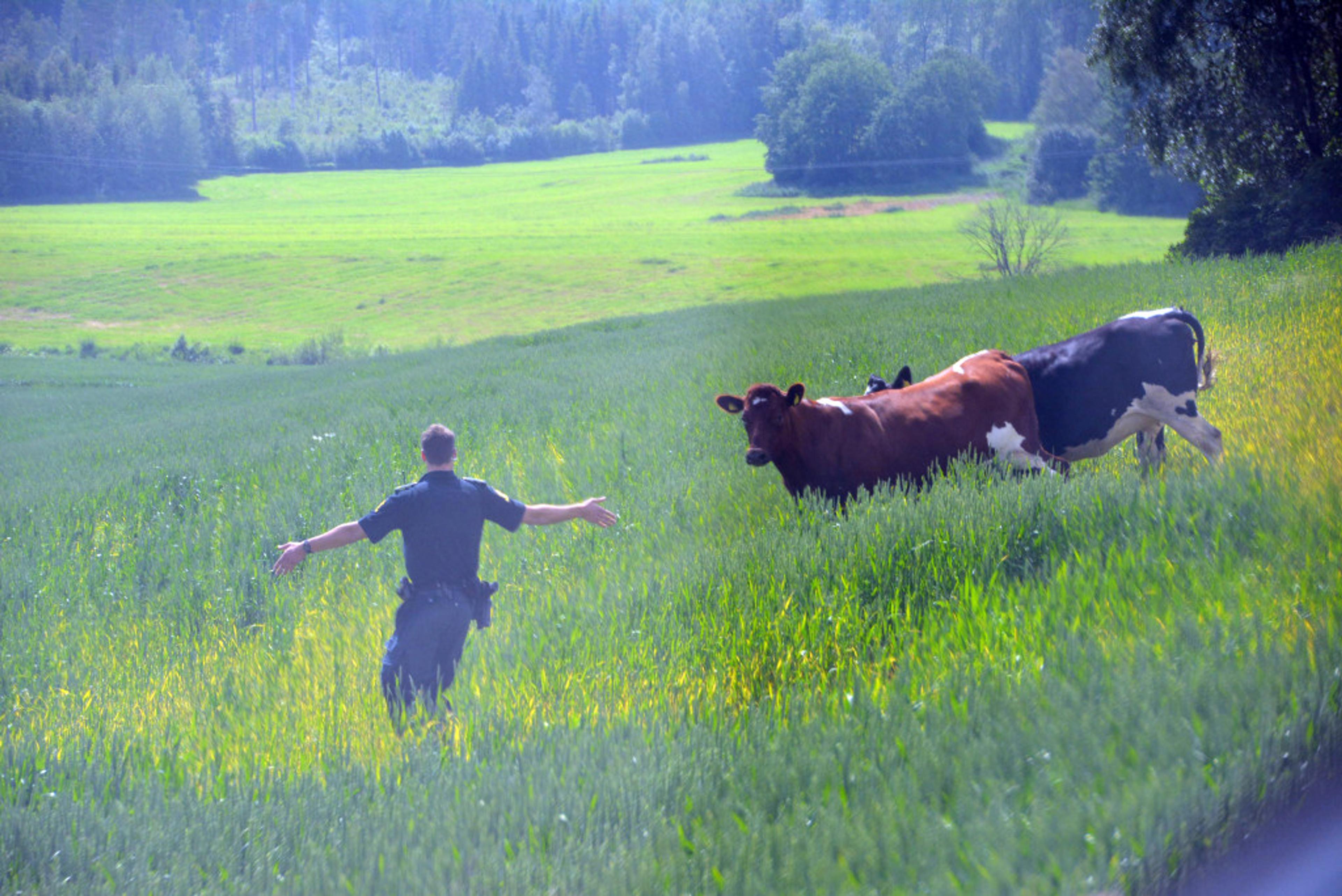 ReAvisa_Bispeveien_1