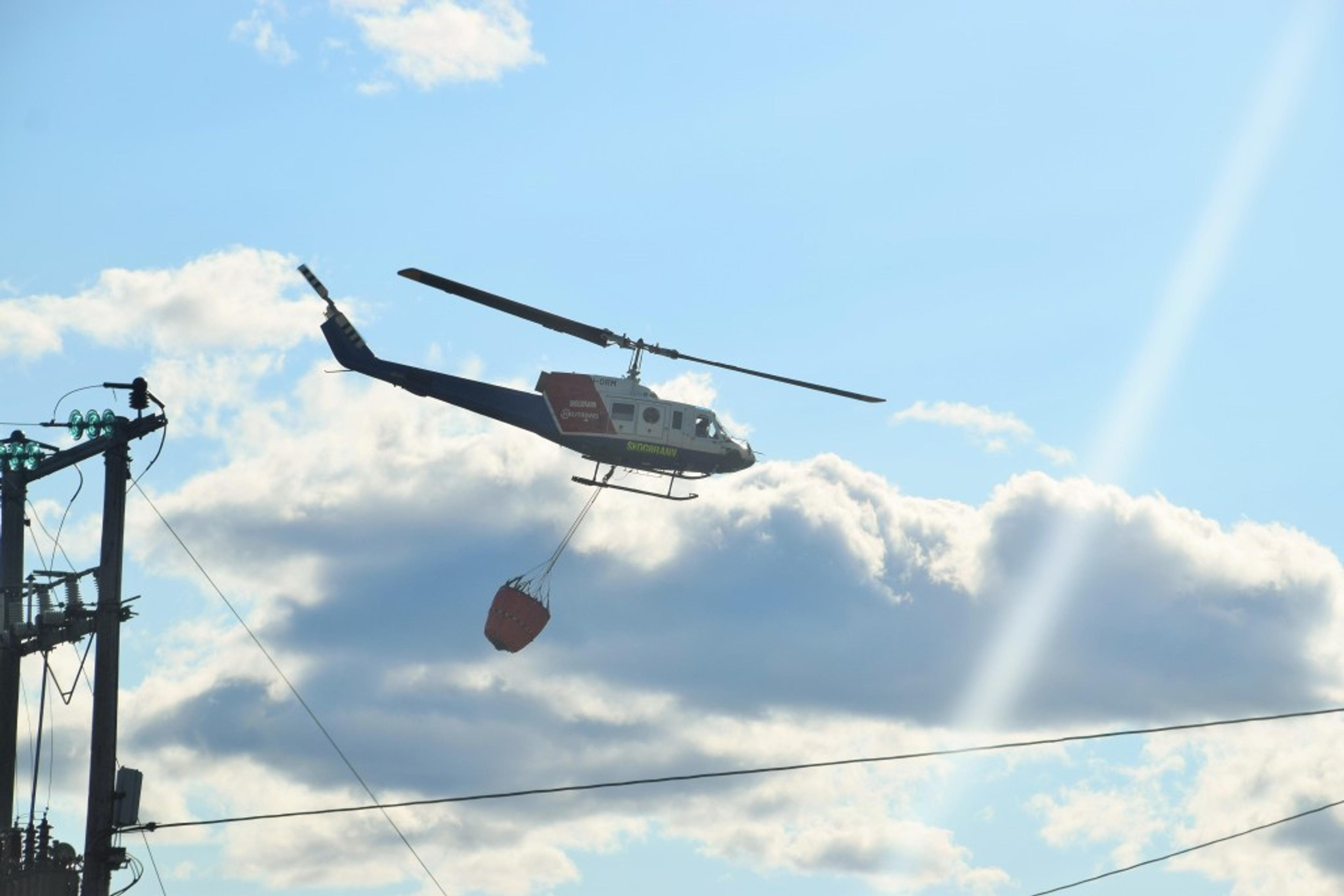 150516_SKOGBRANN (5)