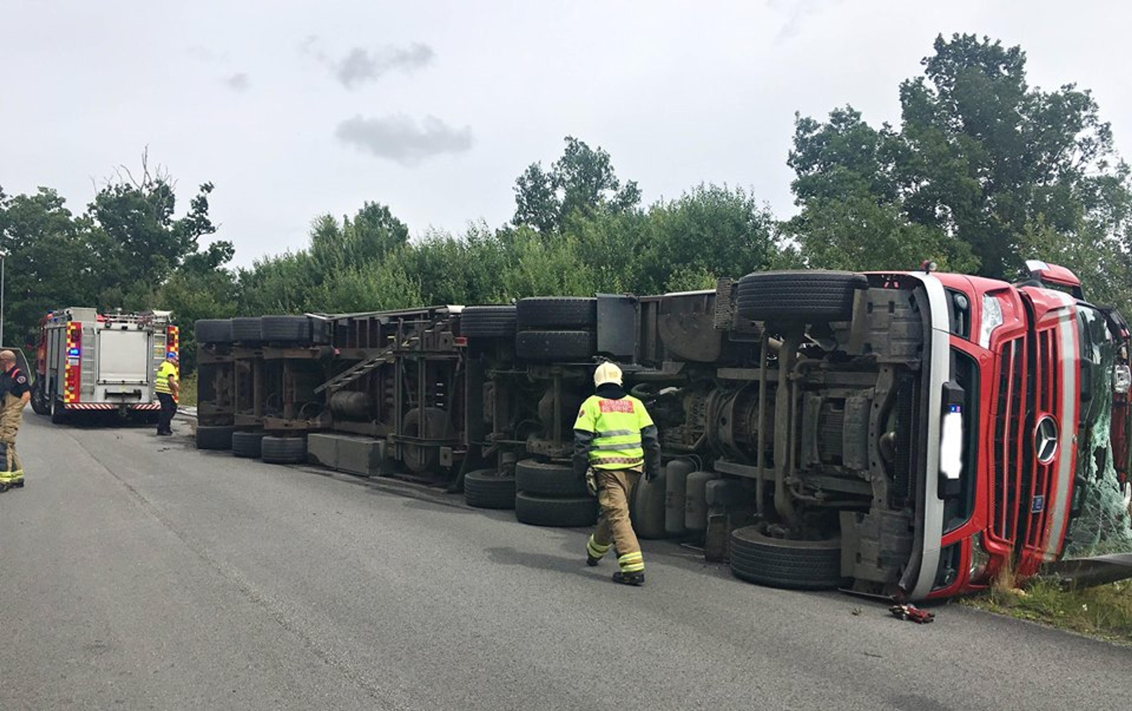 290716_LASTEBILVELT_LINNESTAD_1