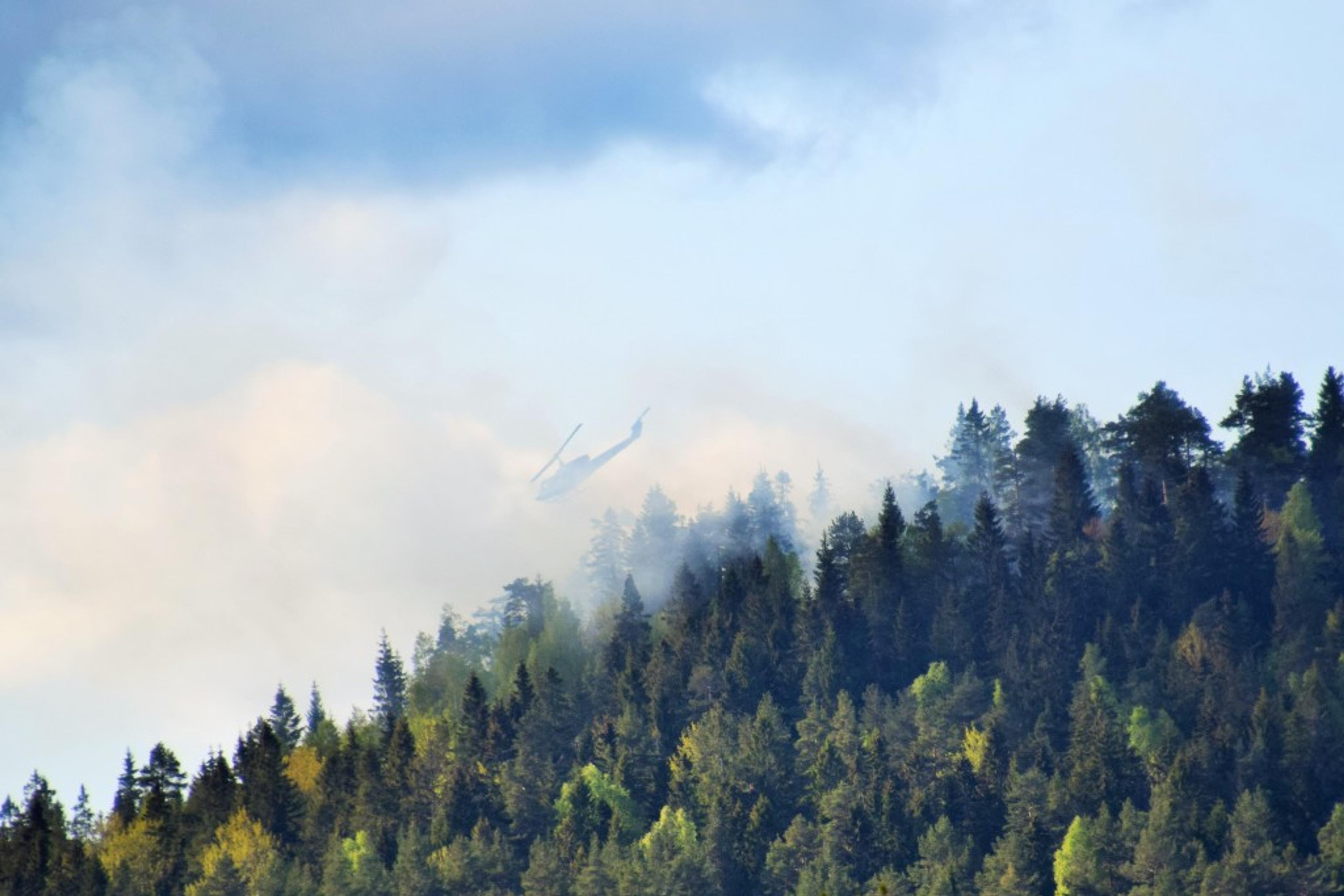 150516_SKOGBRANN (8)