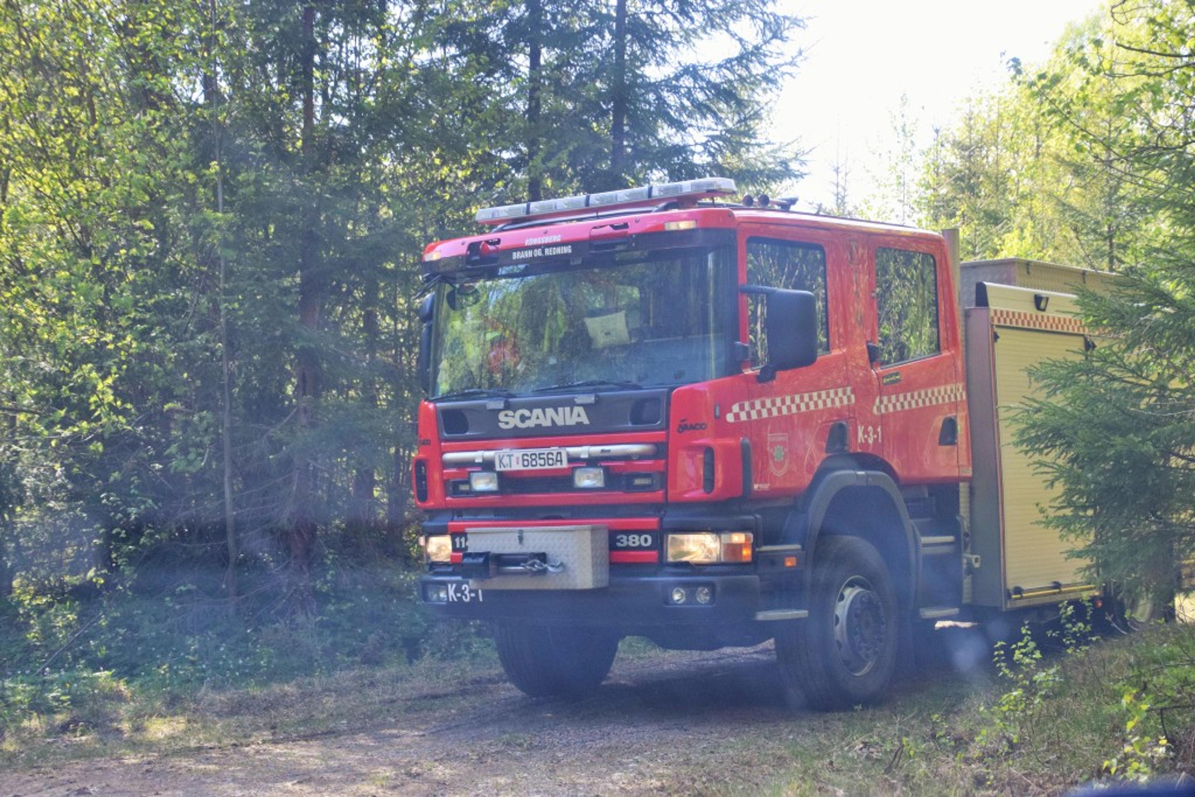 150516_SKOGBRANN (4)