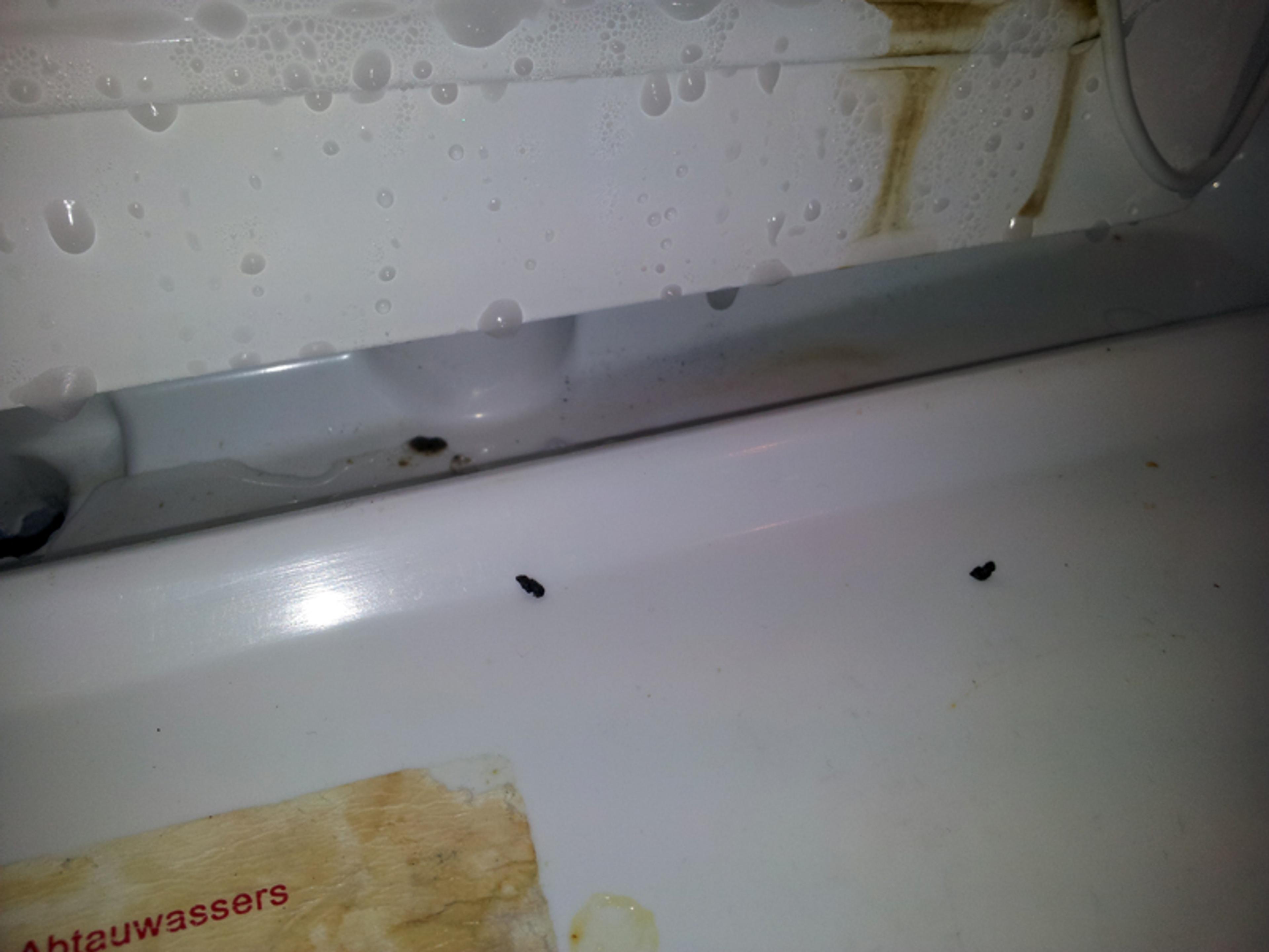 20121028_174329_NETT