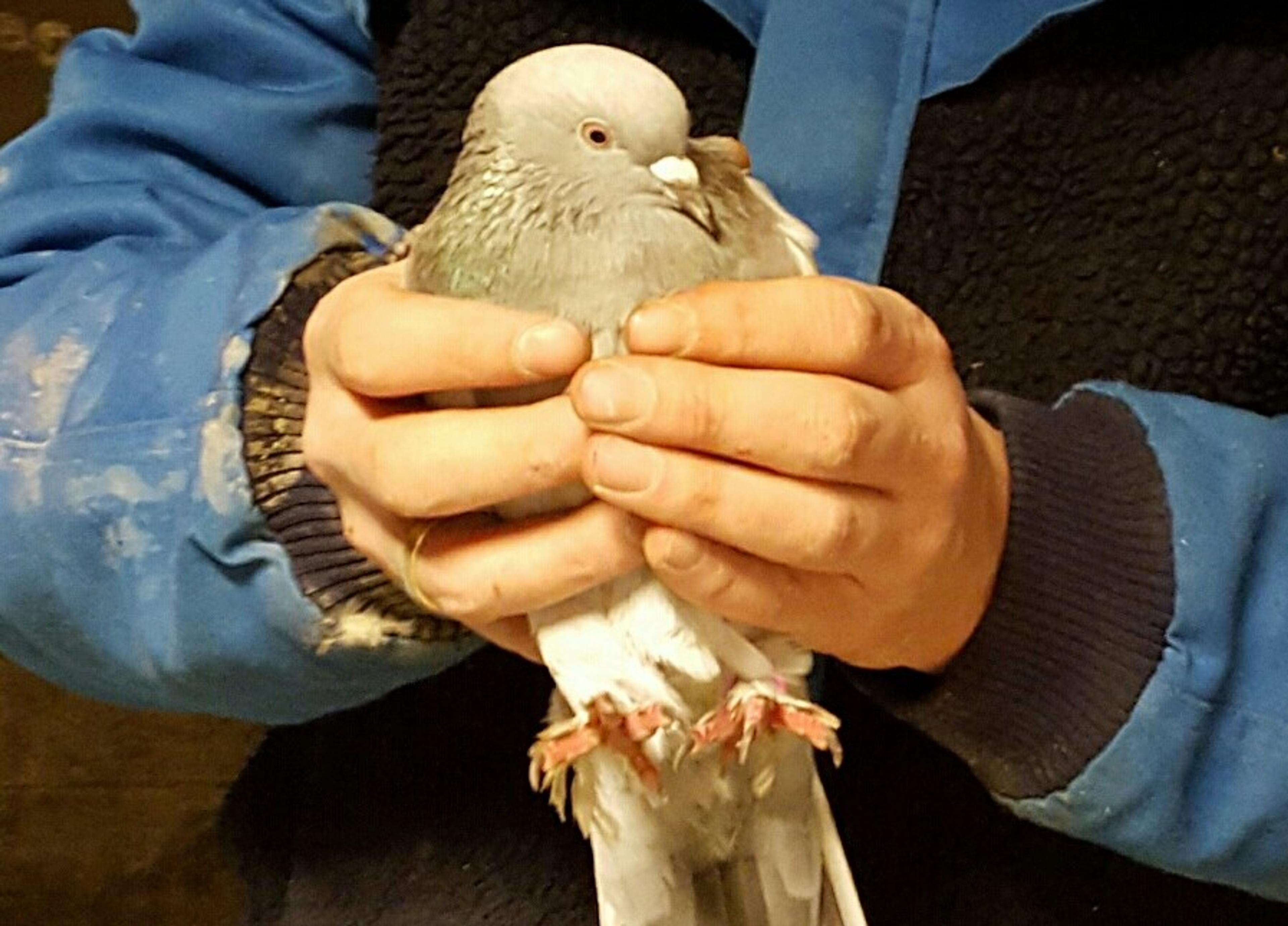 20151204_170915-1_resized