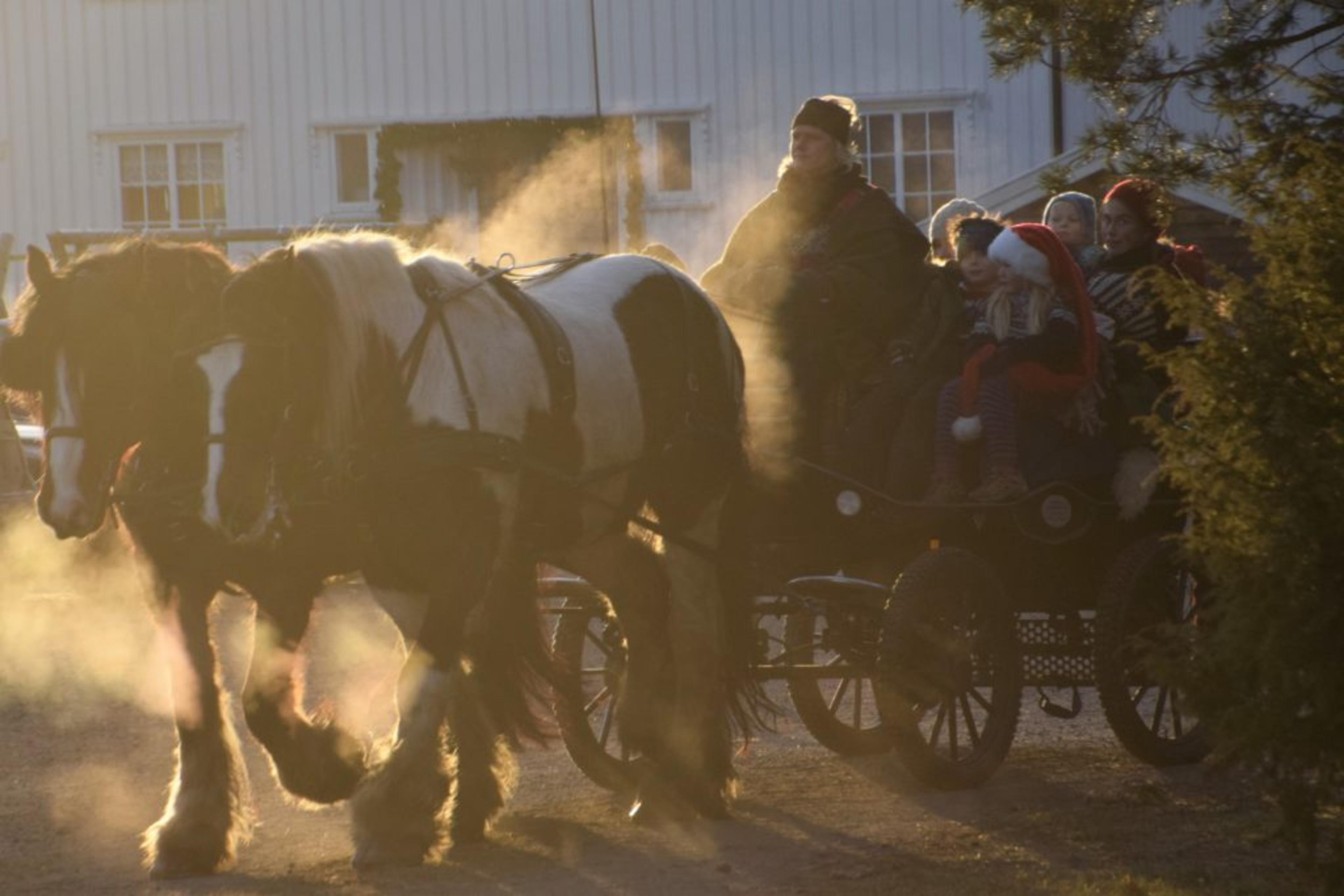 041216_ramnes_sondre_julemarked_7