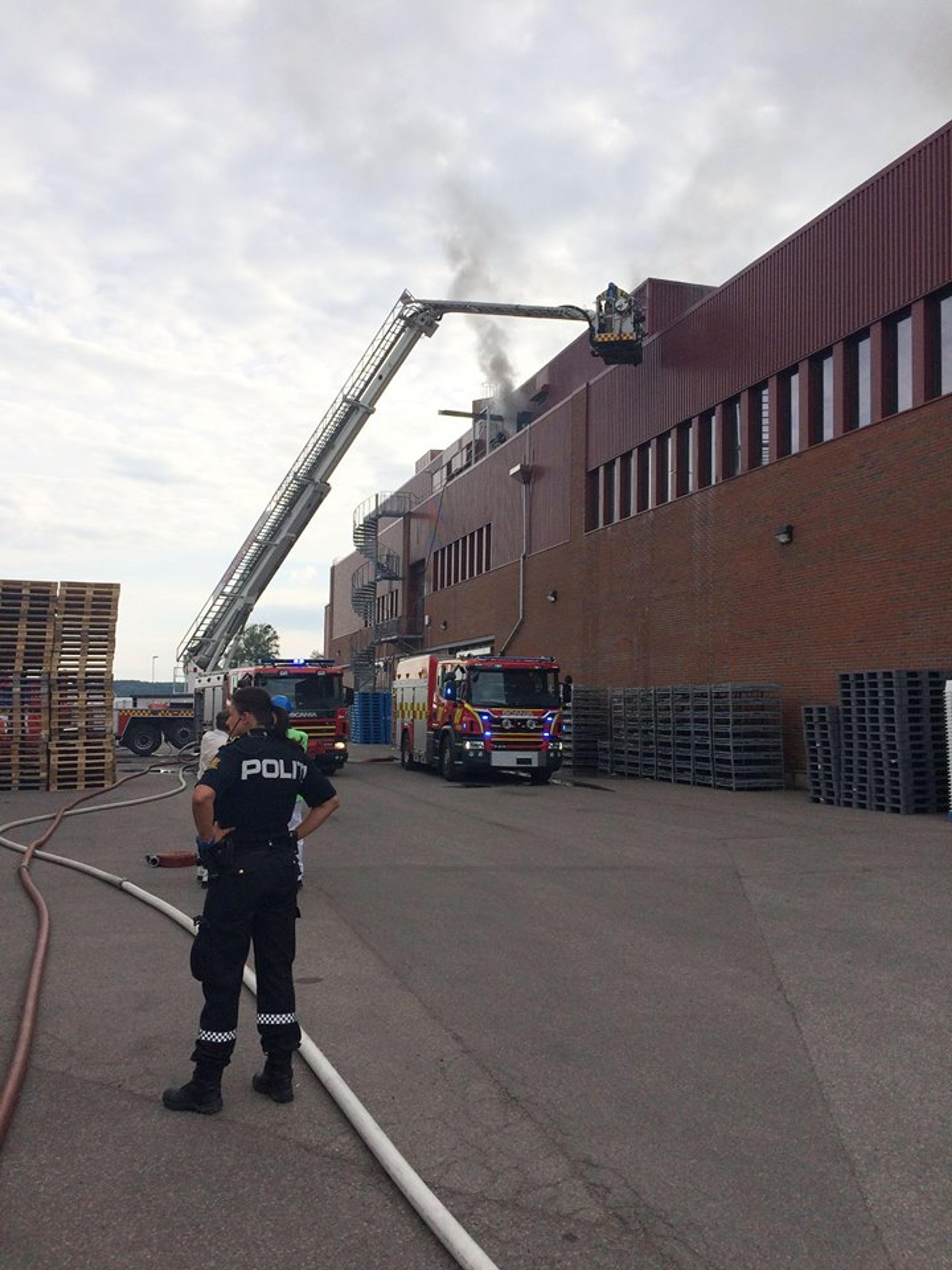 160616_BRANN_askollen_4