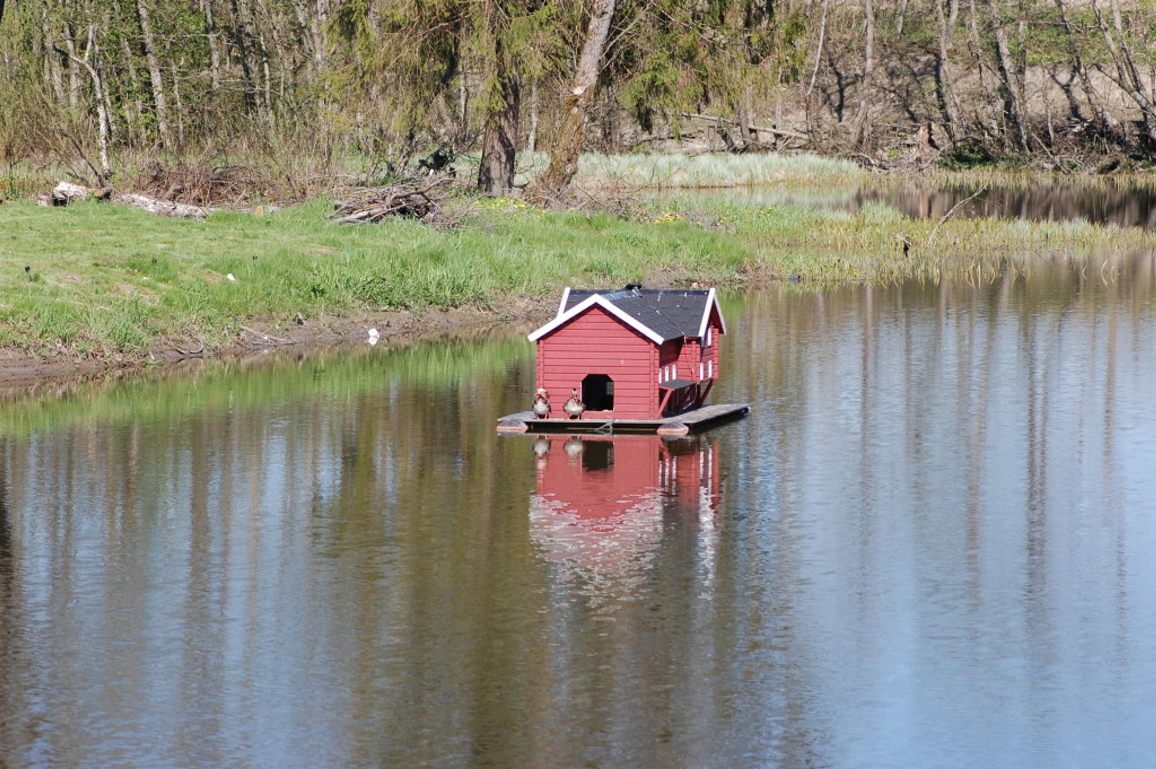 090516_MANDARINENDER_3