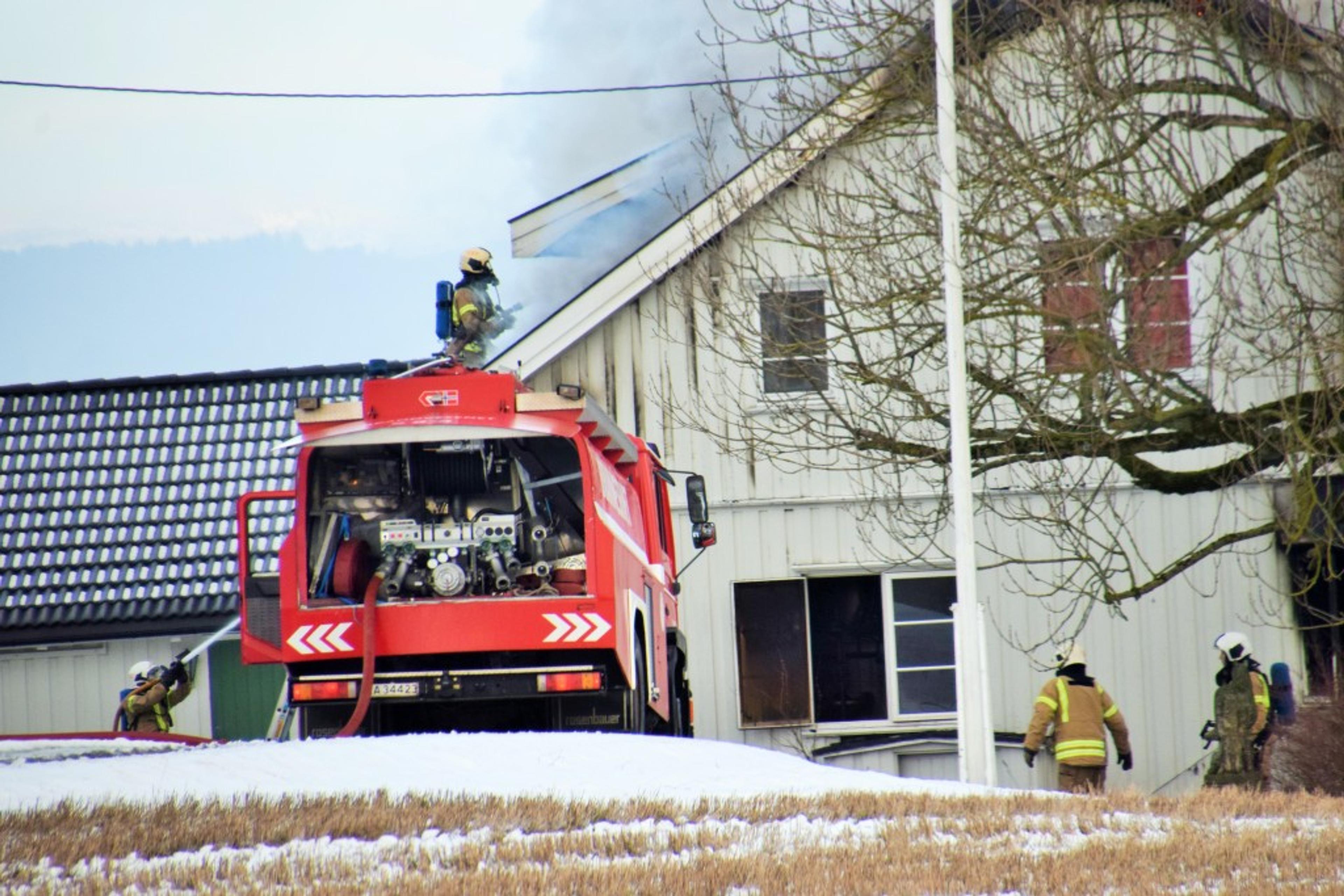 210216_BRANN_JARBERG_2