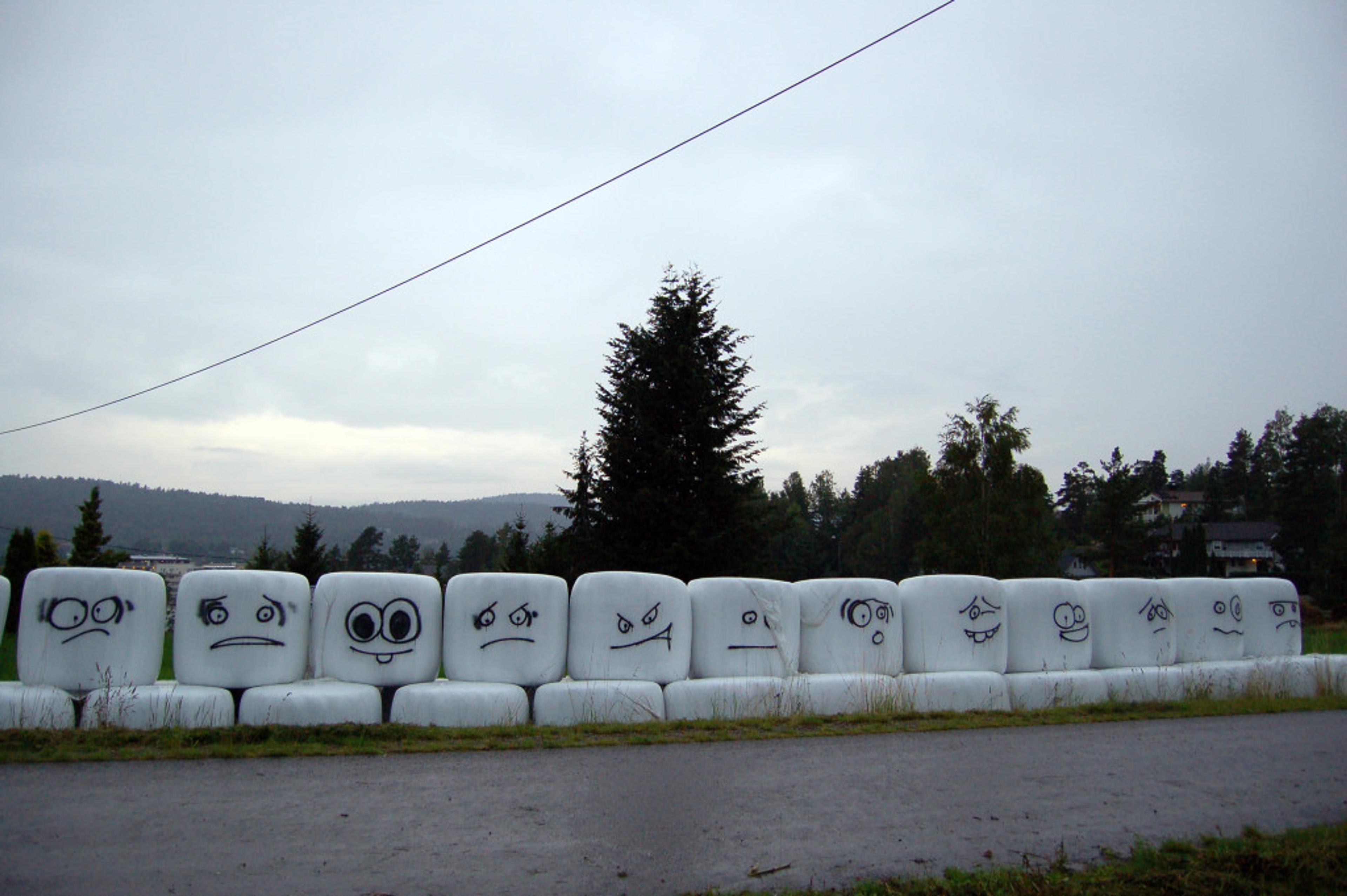 ReAvisa_nyh_Sterke_Meninger