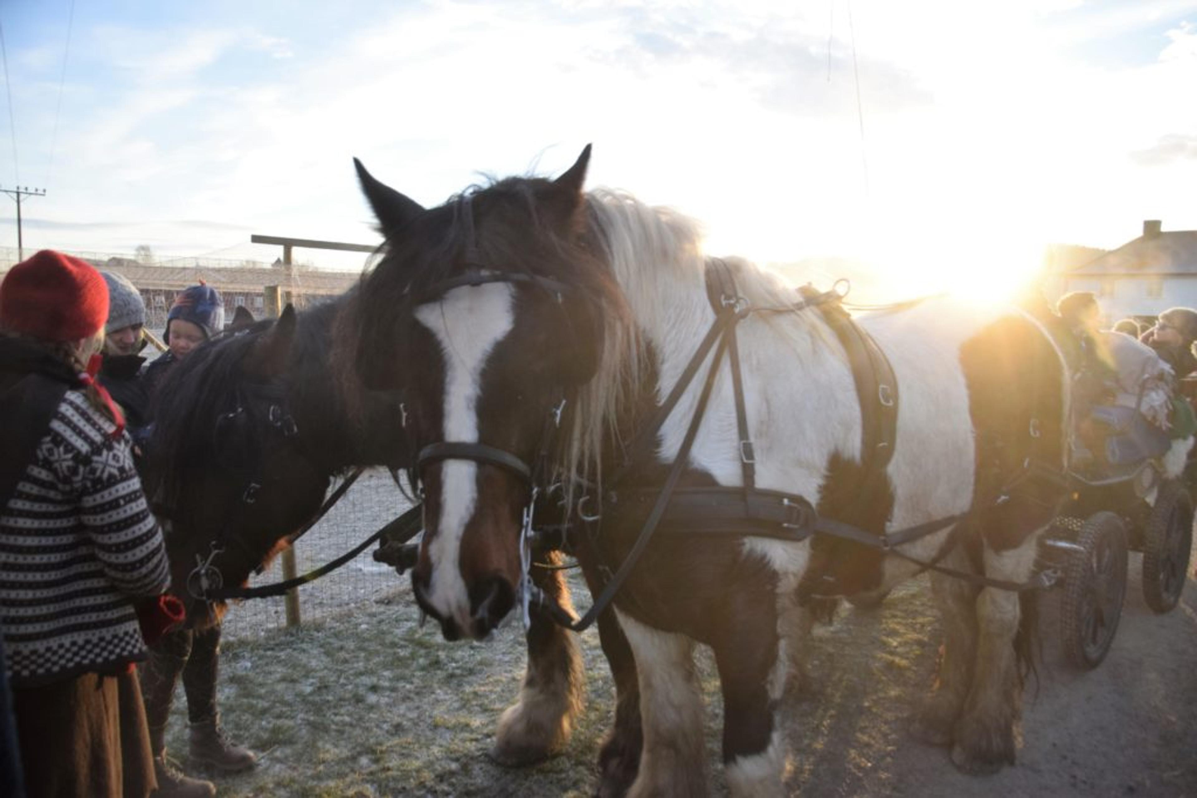 041216_ramnes_sondre_julemarked_6