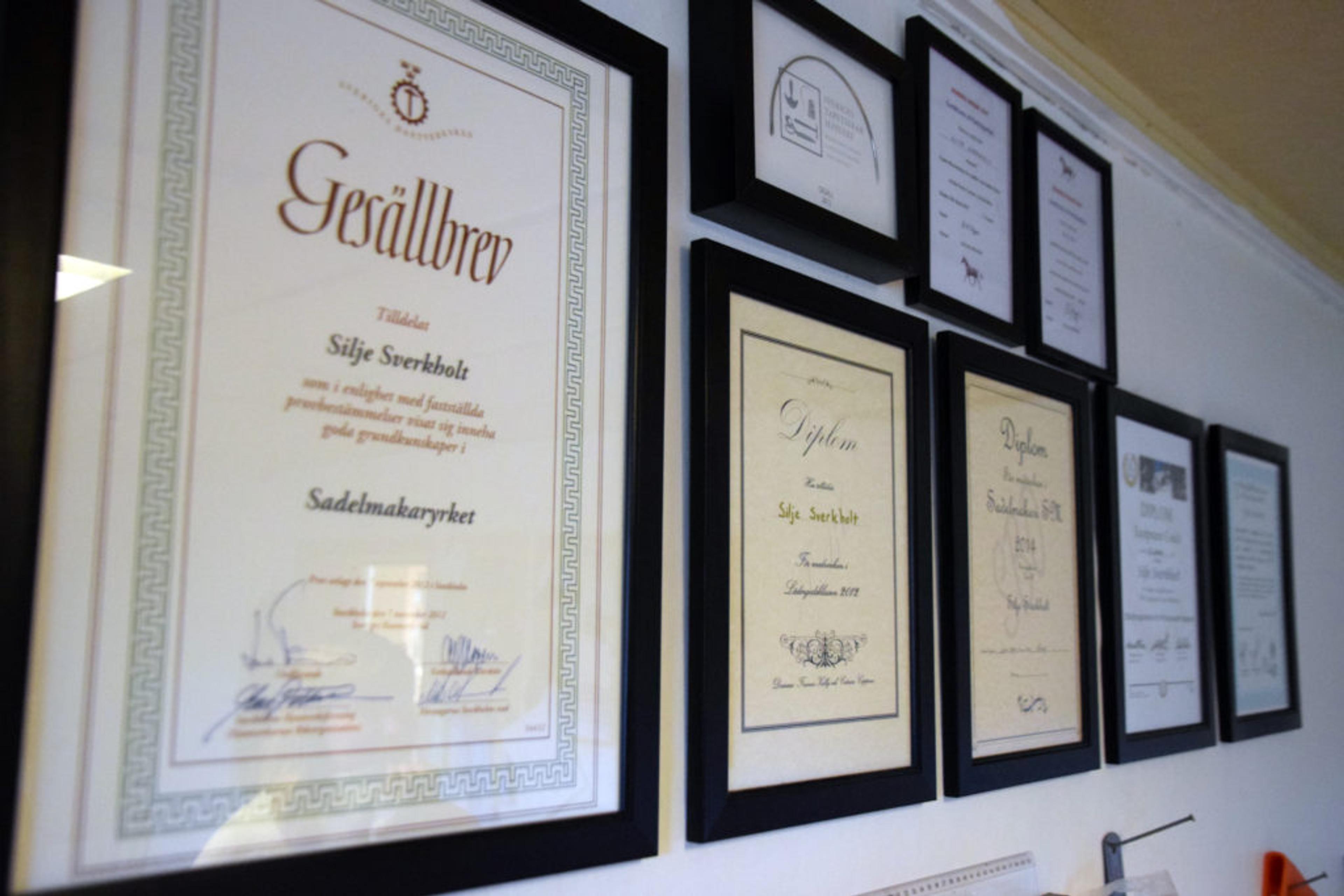 281016_silje_sverkholt_salmaker_014