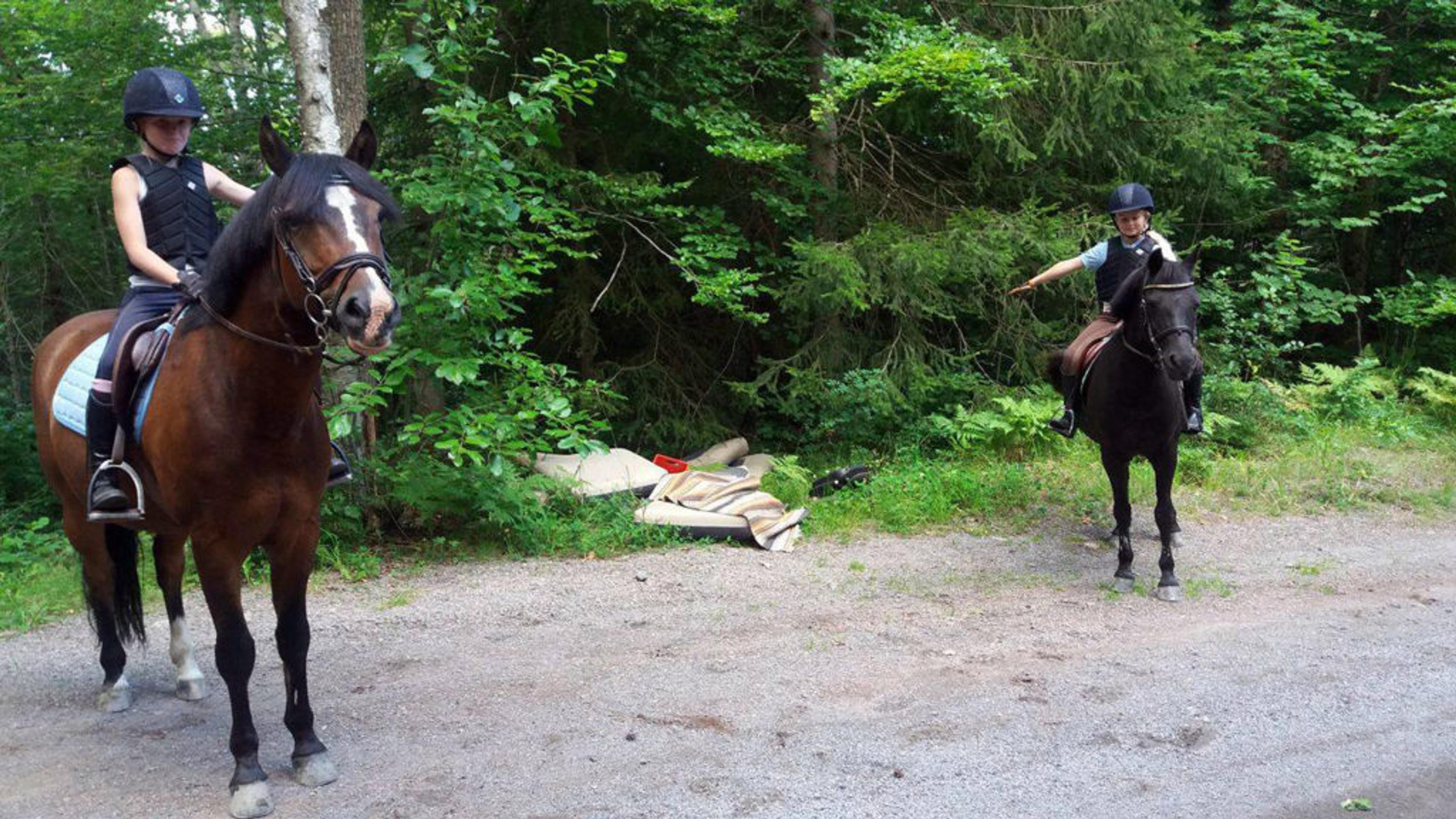soppeldumping Tinghaugveien 1