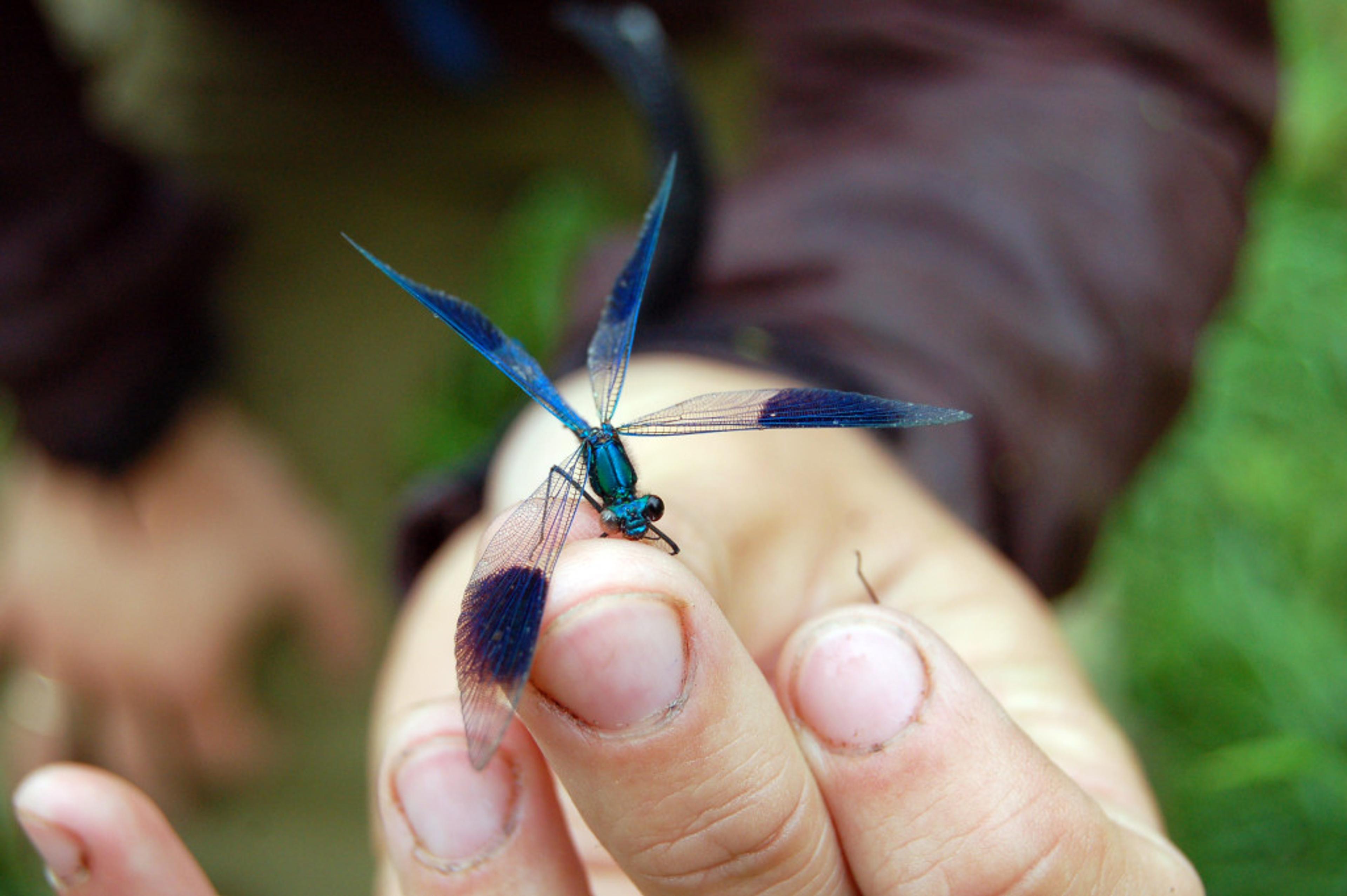 reavisa09_nyh_hallvard_holtung5